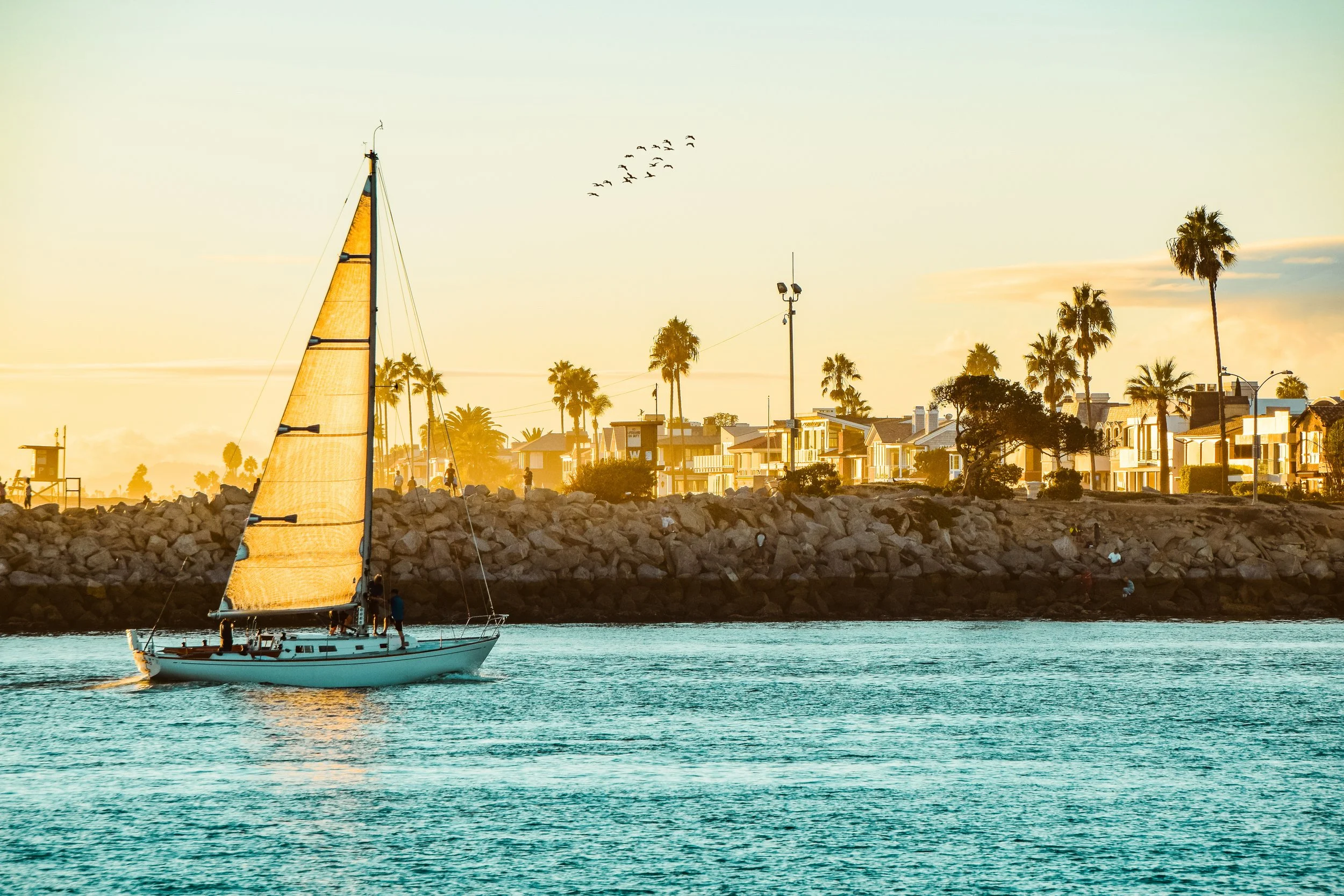 AdobeStock_128423217.jpeg