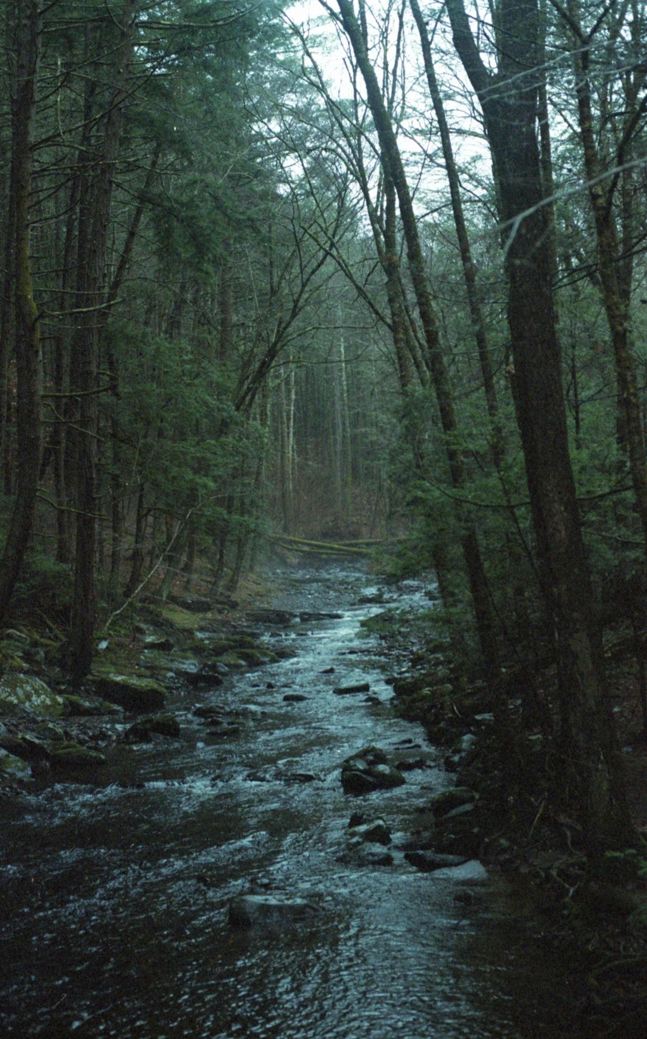 img20220423_13420599.jpg