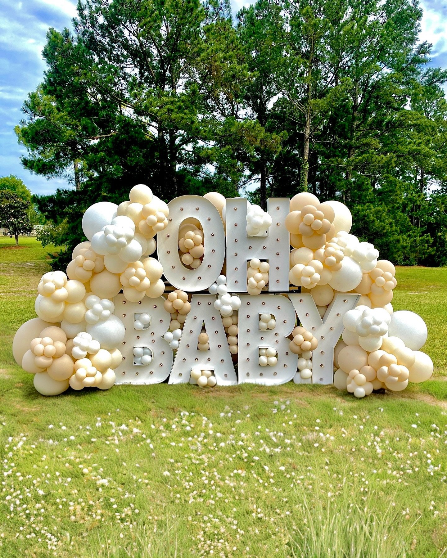 &ldquo;Oh Baby&rdquo; it&rsquo;s time to celebrate! 🤍
-
Your baby shower should feel just as special as the journey you&rsquo;re celebrating. At Sociable Designs we specialize in creating stylish, stress-free party decor that looks amazing in every 