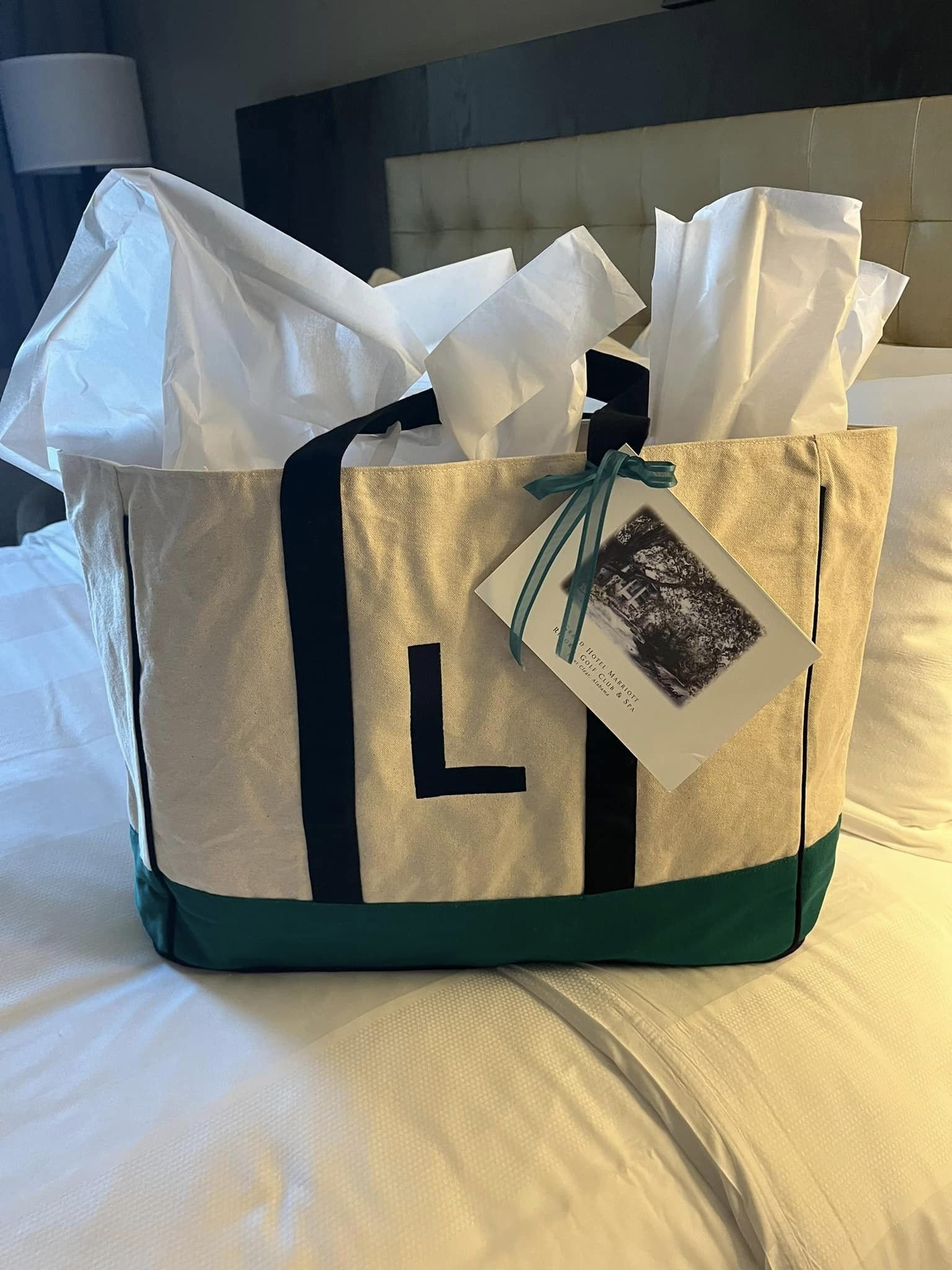 GCU bags Feb 2024.jpg