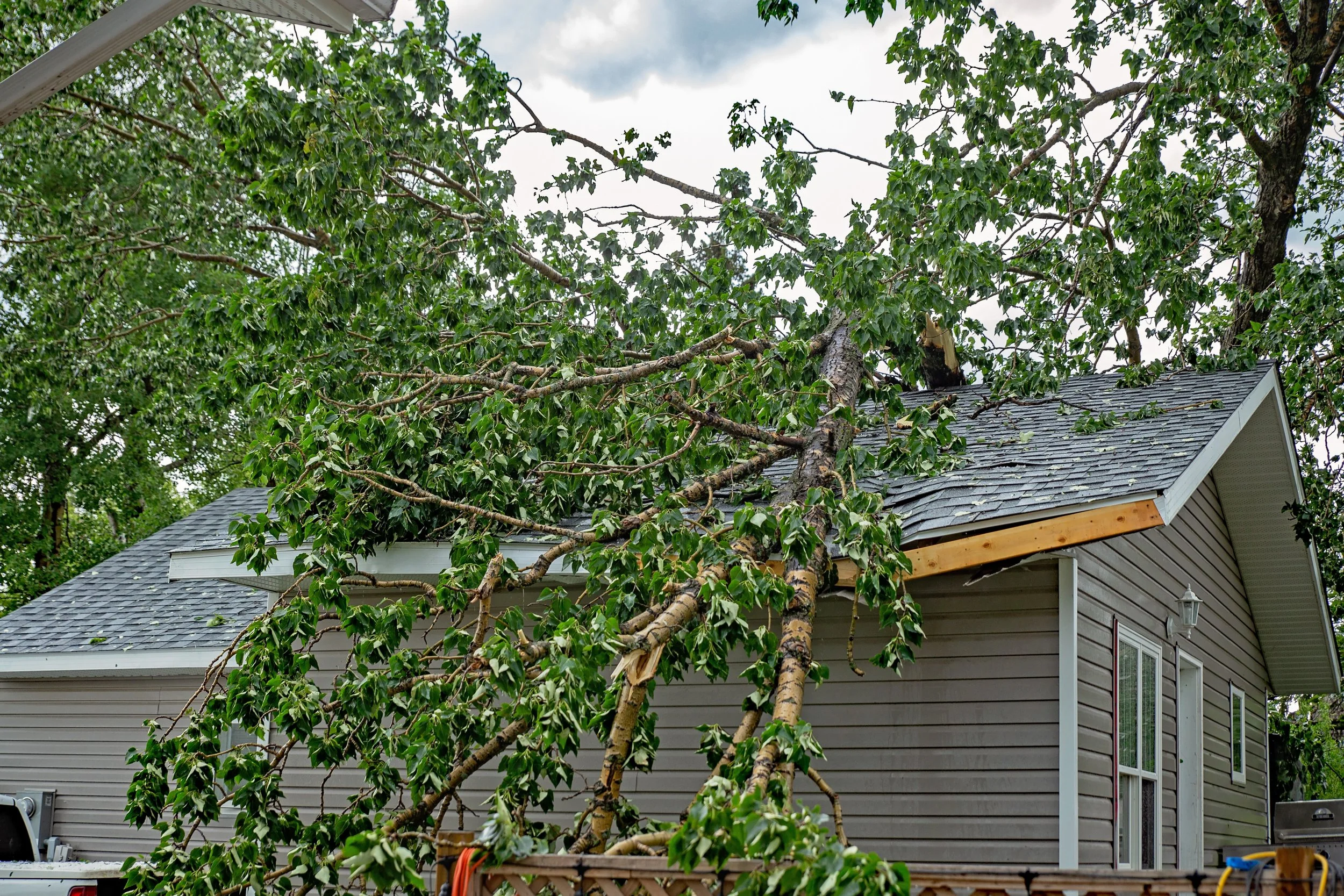 tree falling on home due to a storm