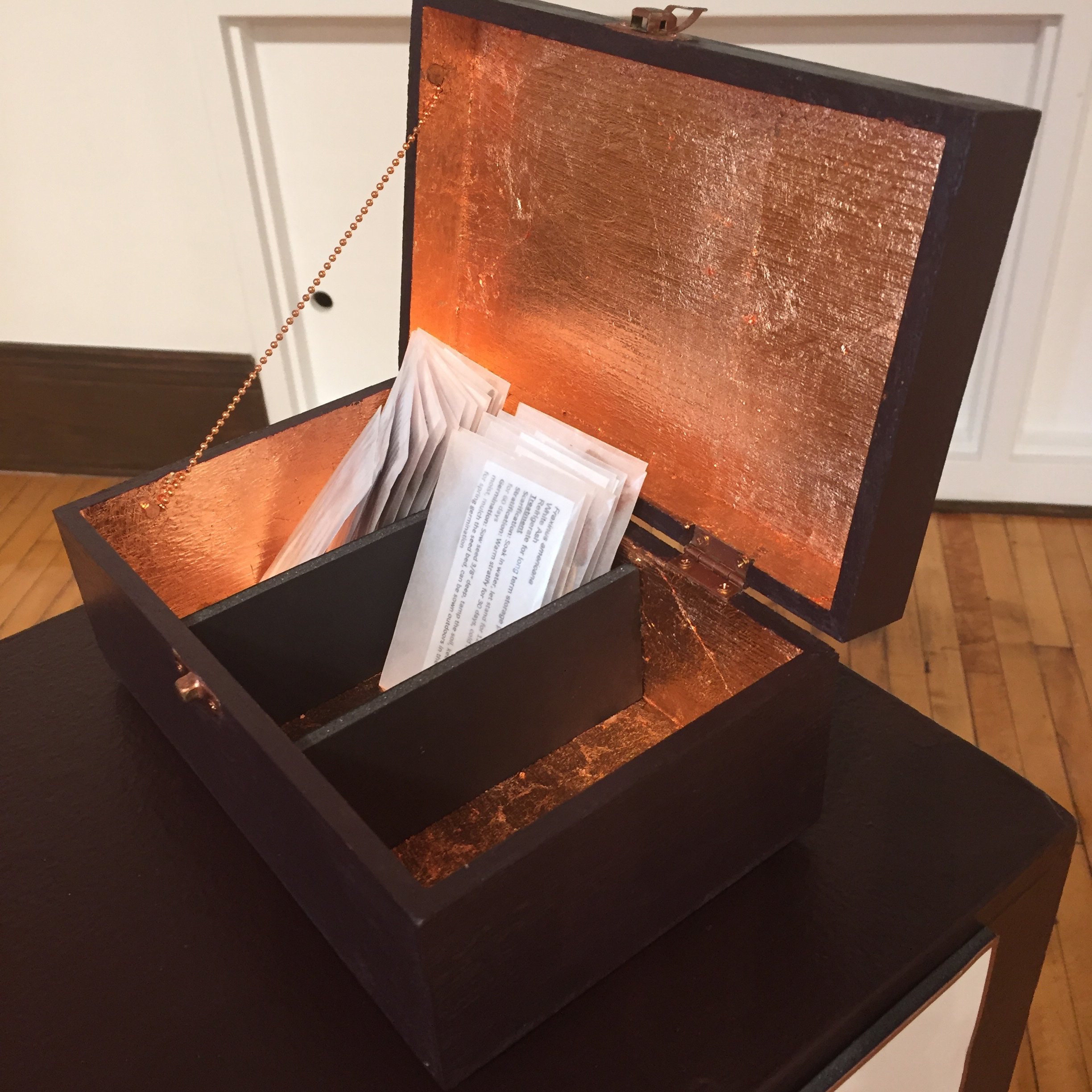 A Sacrificial Offering, detail of seed box at close of the exhibit