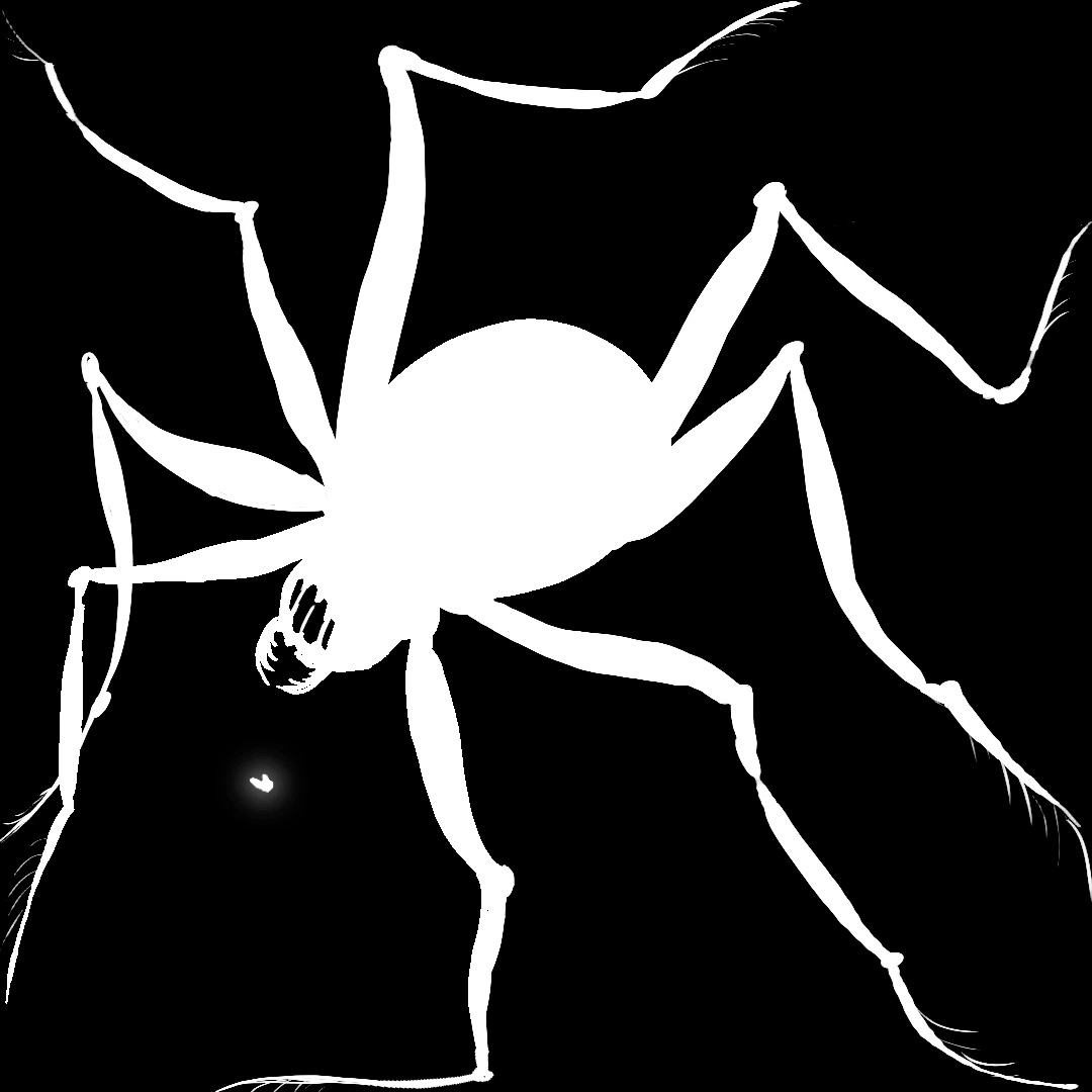 spider.gif