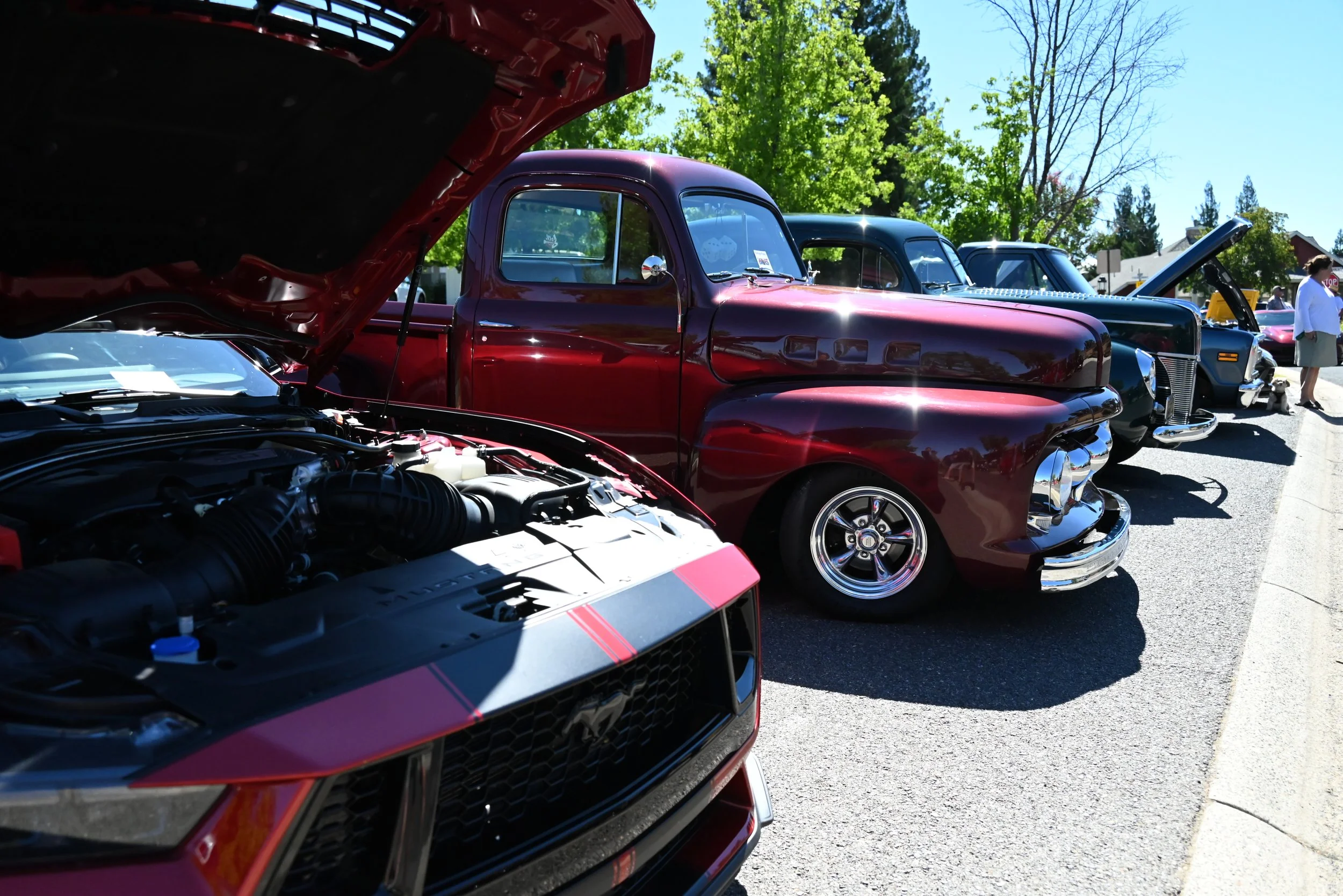DSC_1424.JPG