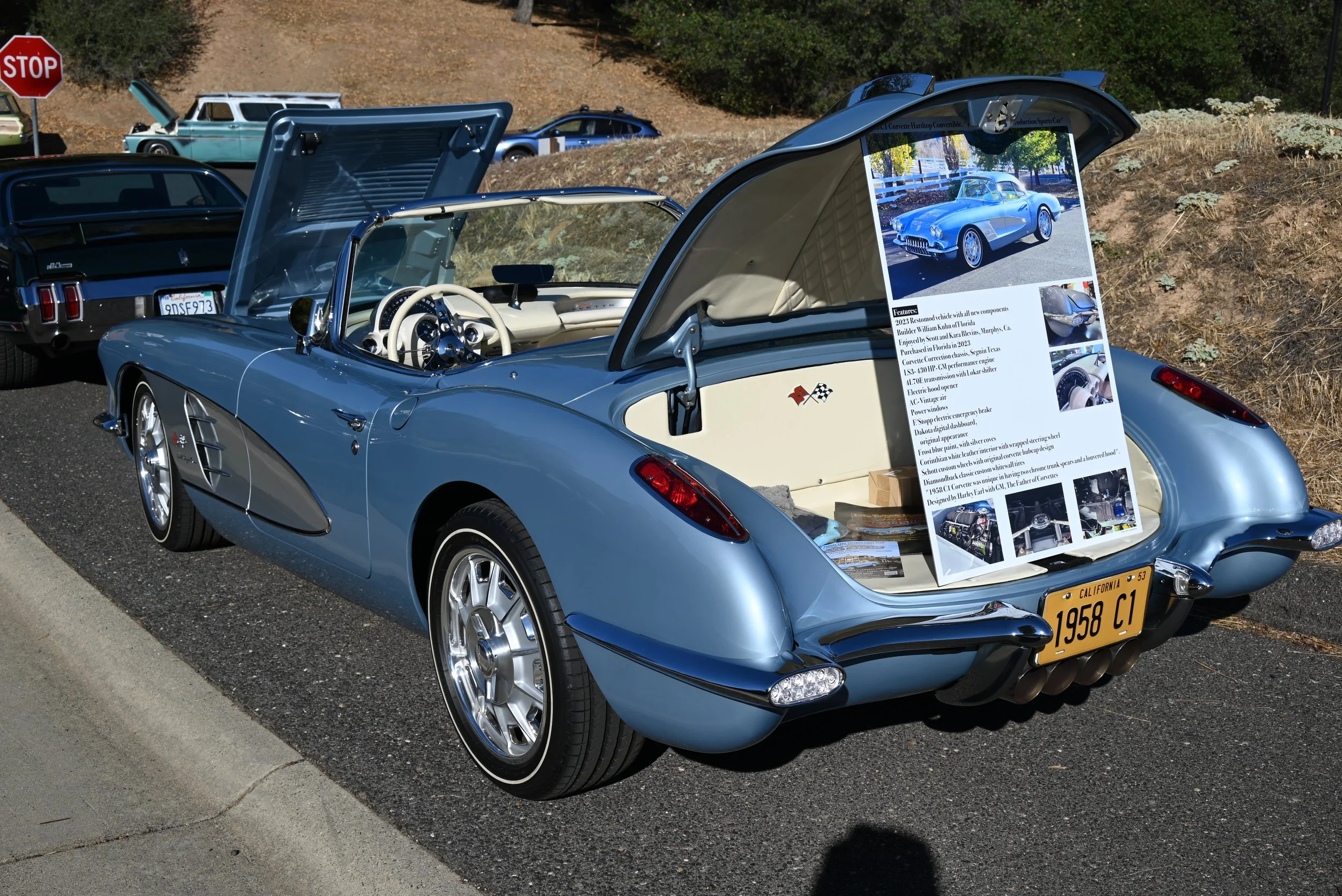 CC24.jpg