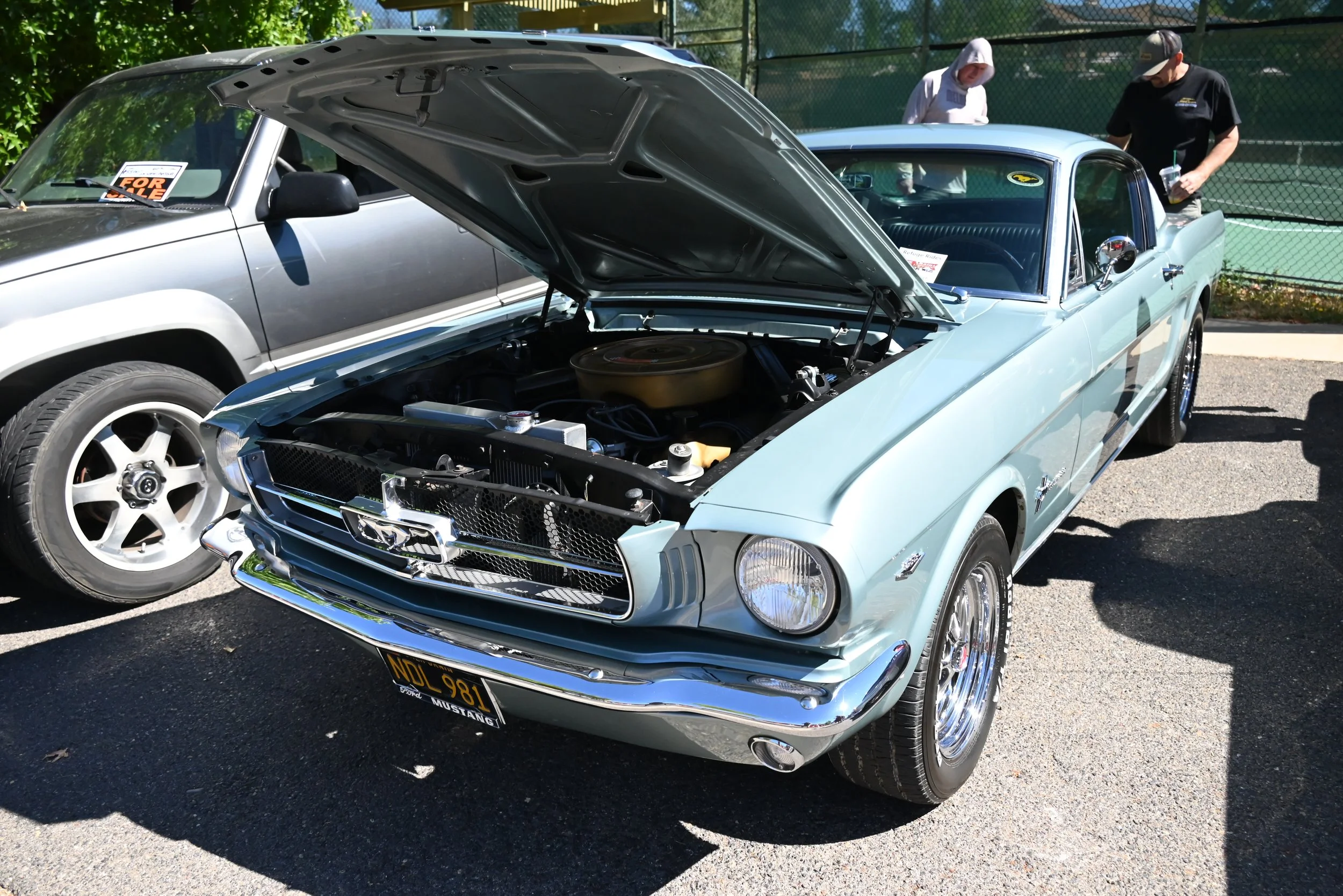 DSC_1419.JPG