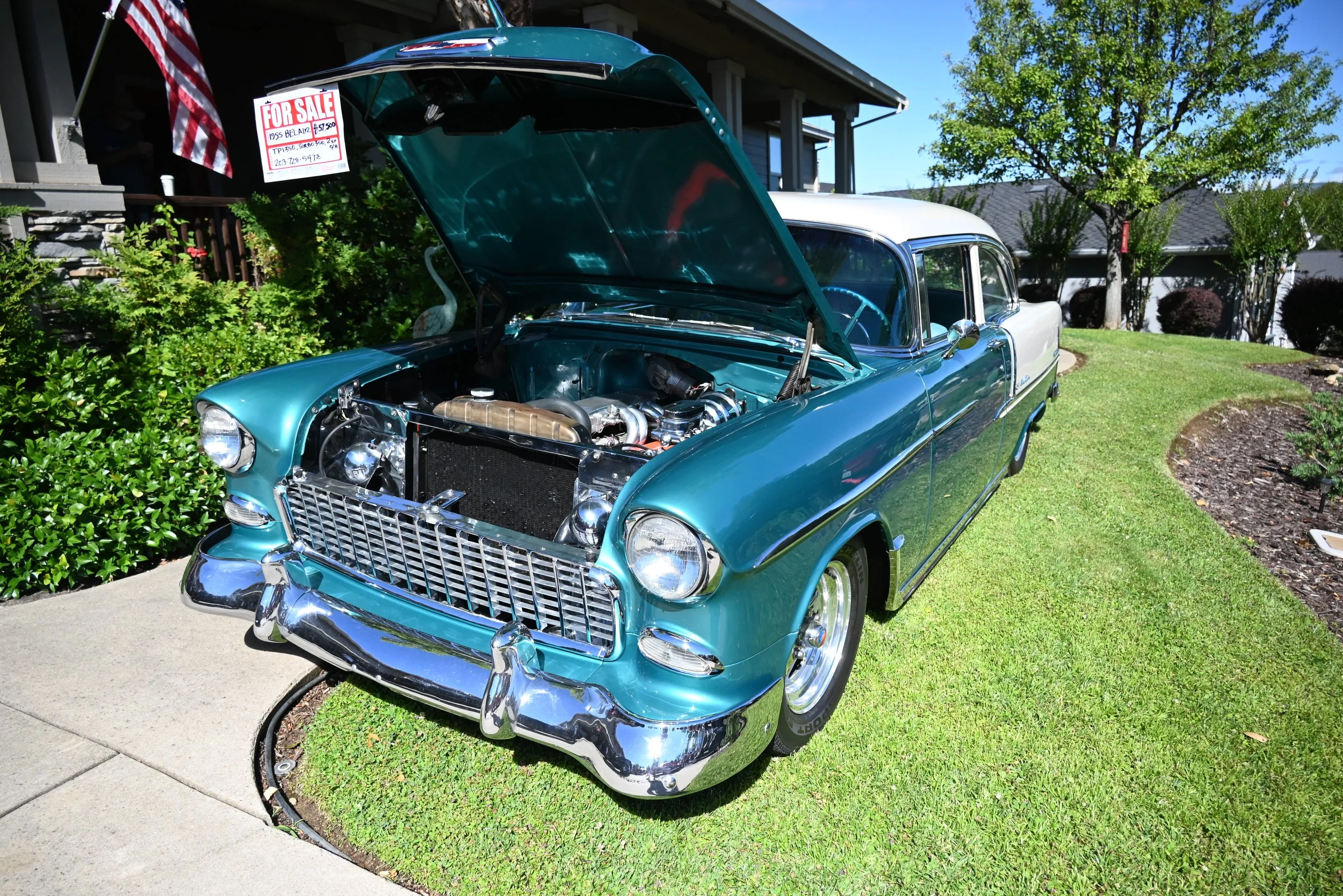 DSC_1392.JPG