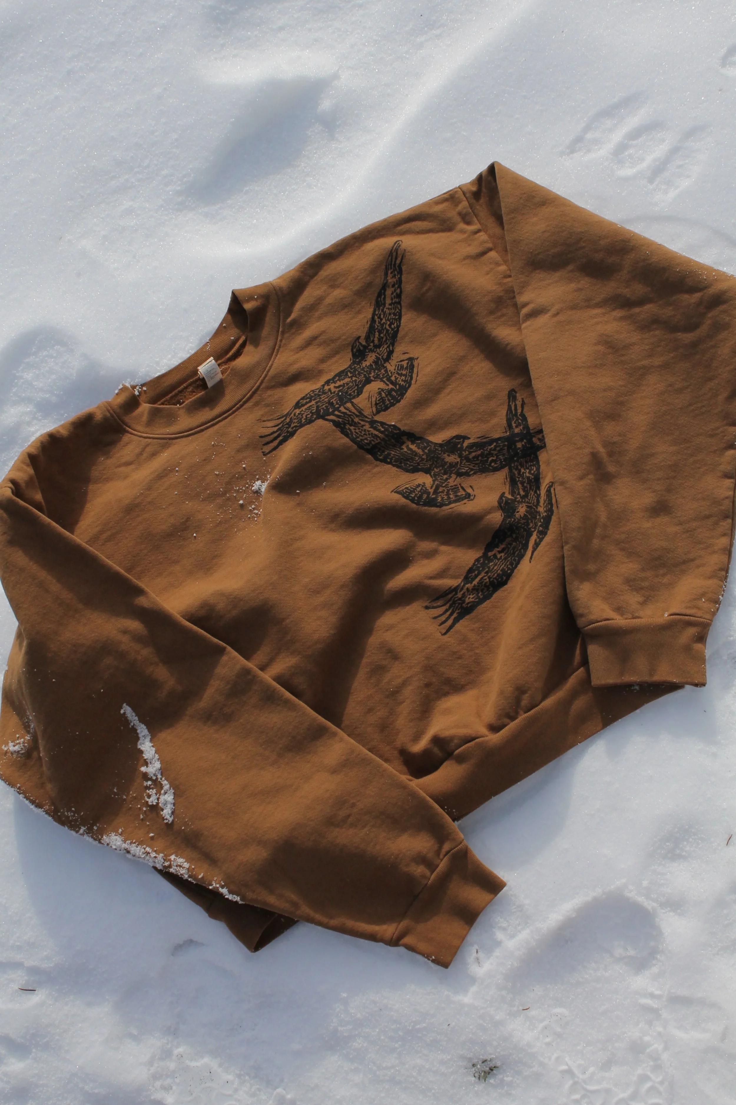 hawk crop mockneck
