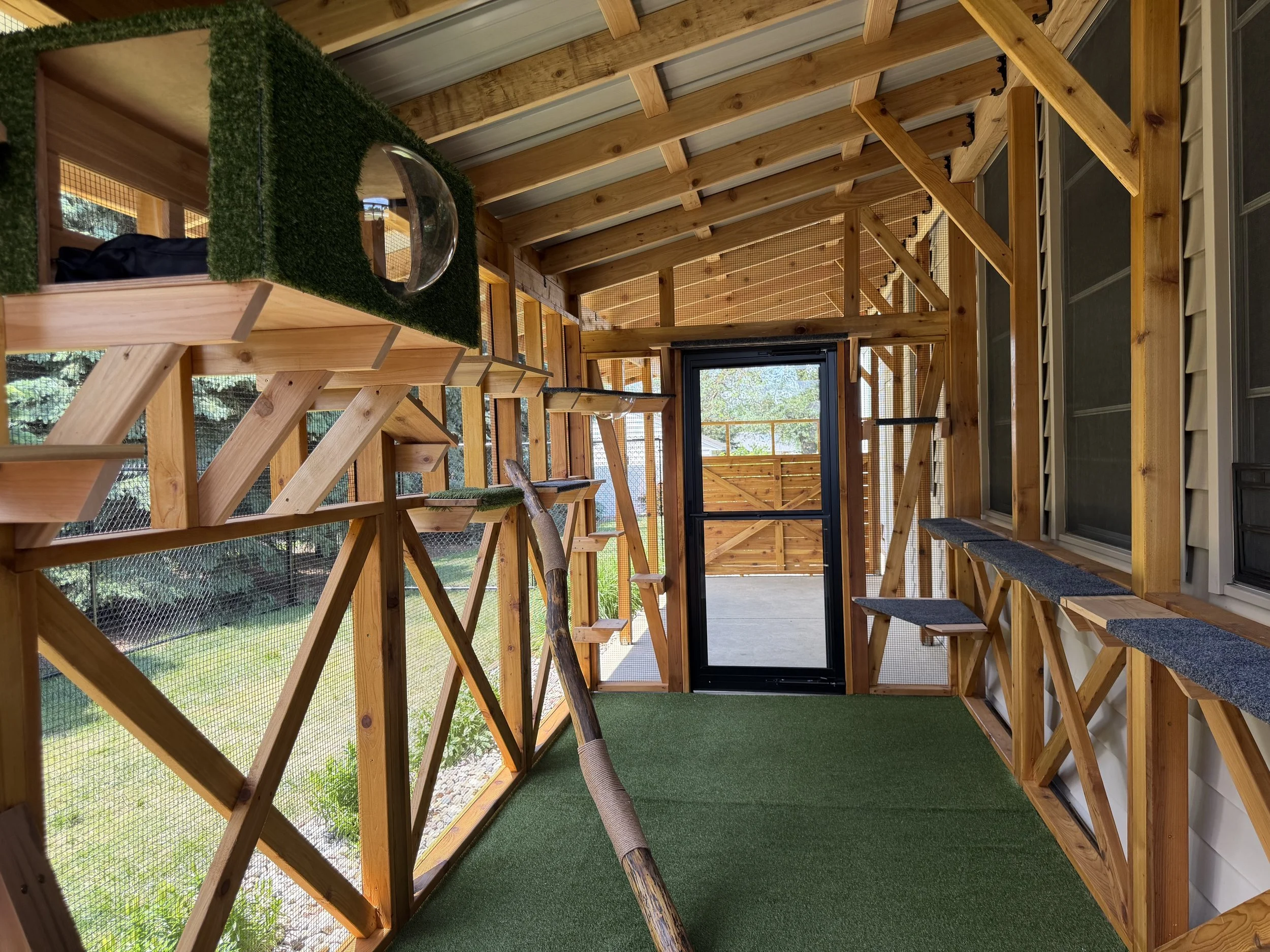View of an indoor cat enclosure with wooden framing, wire mesh walls, a sliding door, and carpeted platforms for cats to perch on.
