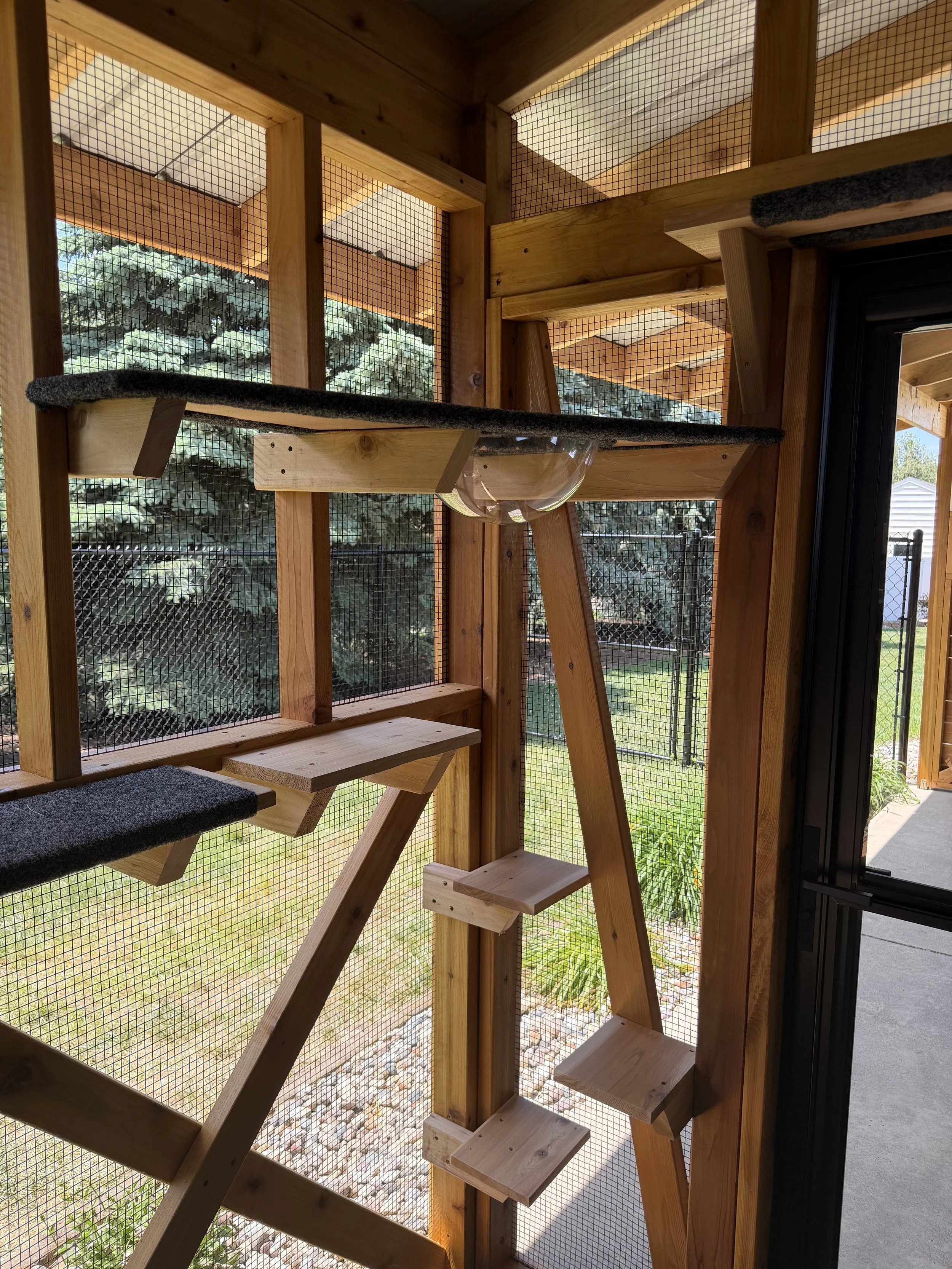 Inside view of a wooden outdoor cat tree with multiple platforms and turf, enclosed in a wire meshcreen, with trees and grass visible outside.
