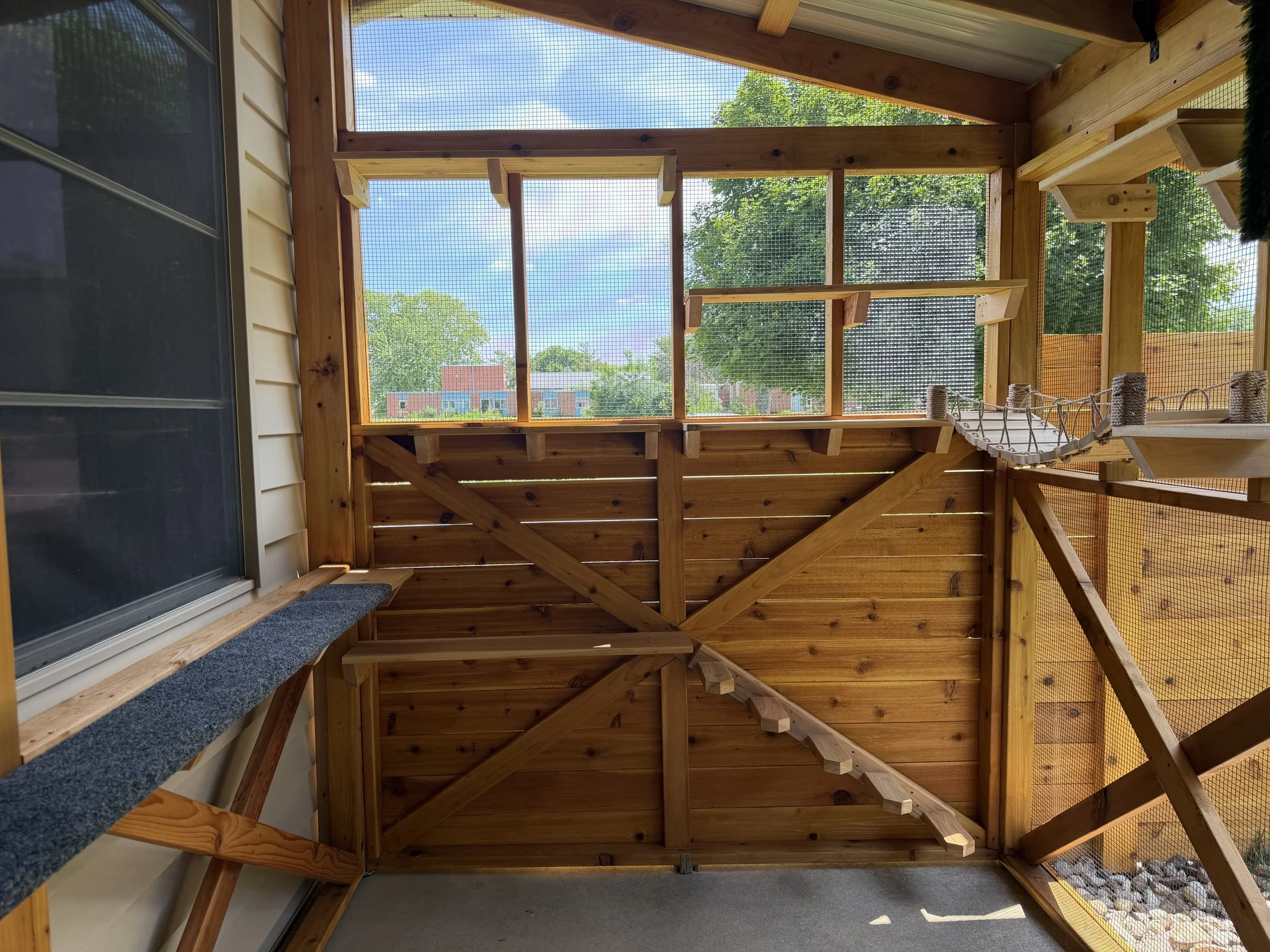 A wooden staircase with railing inside a covered outdoor space, with a view of trees and a building outside through mesh screens.