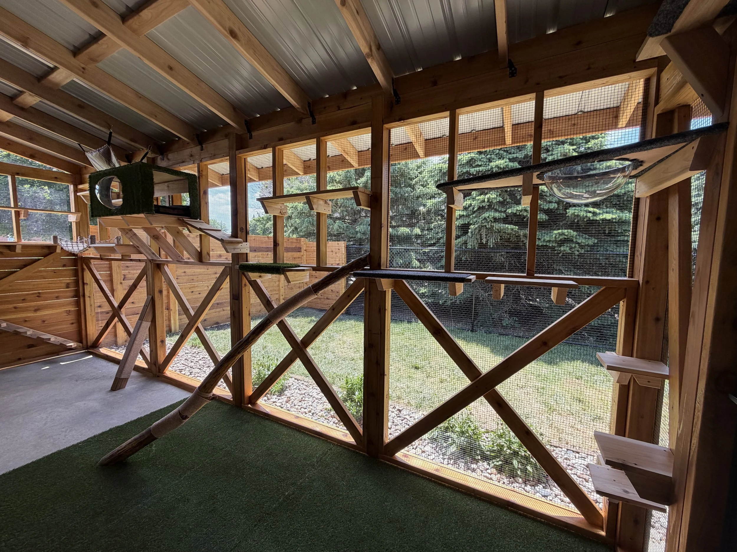 Finished cedar catio with multi-level perches