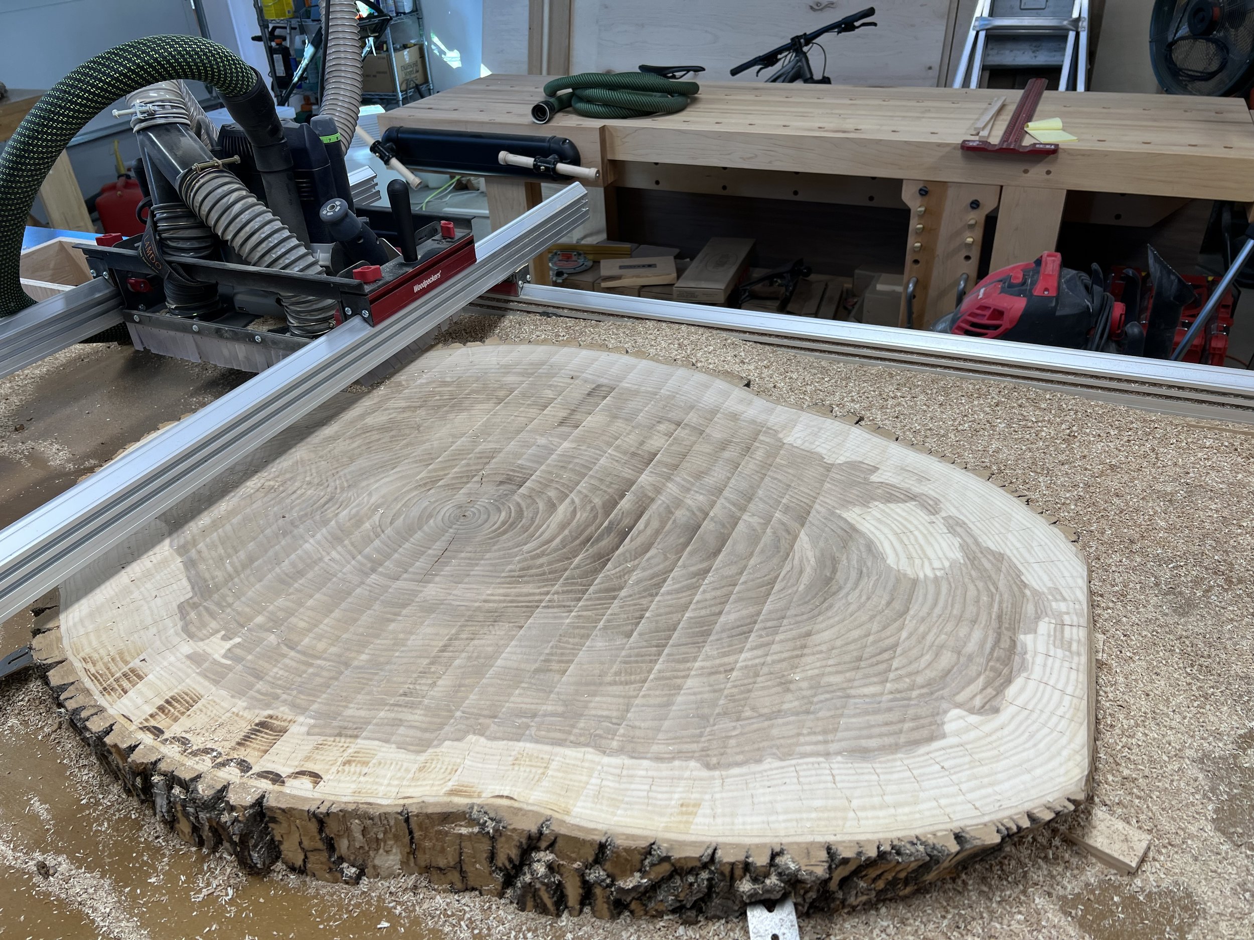 A large cross-section of a tree trunk with concentric growth rings, placed in a woodworking shop with equipment and tools in the background.