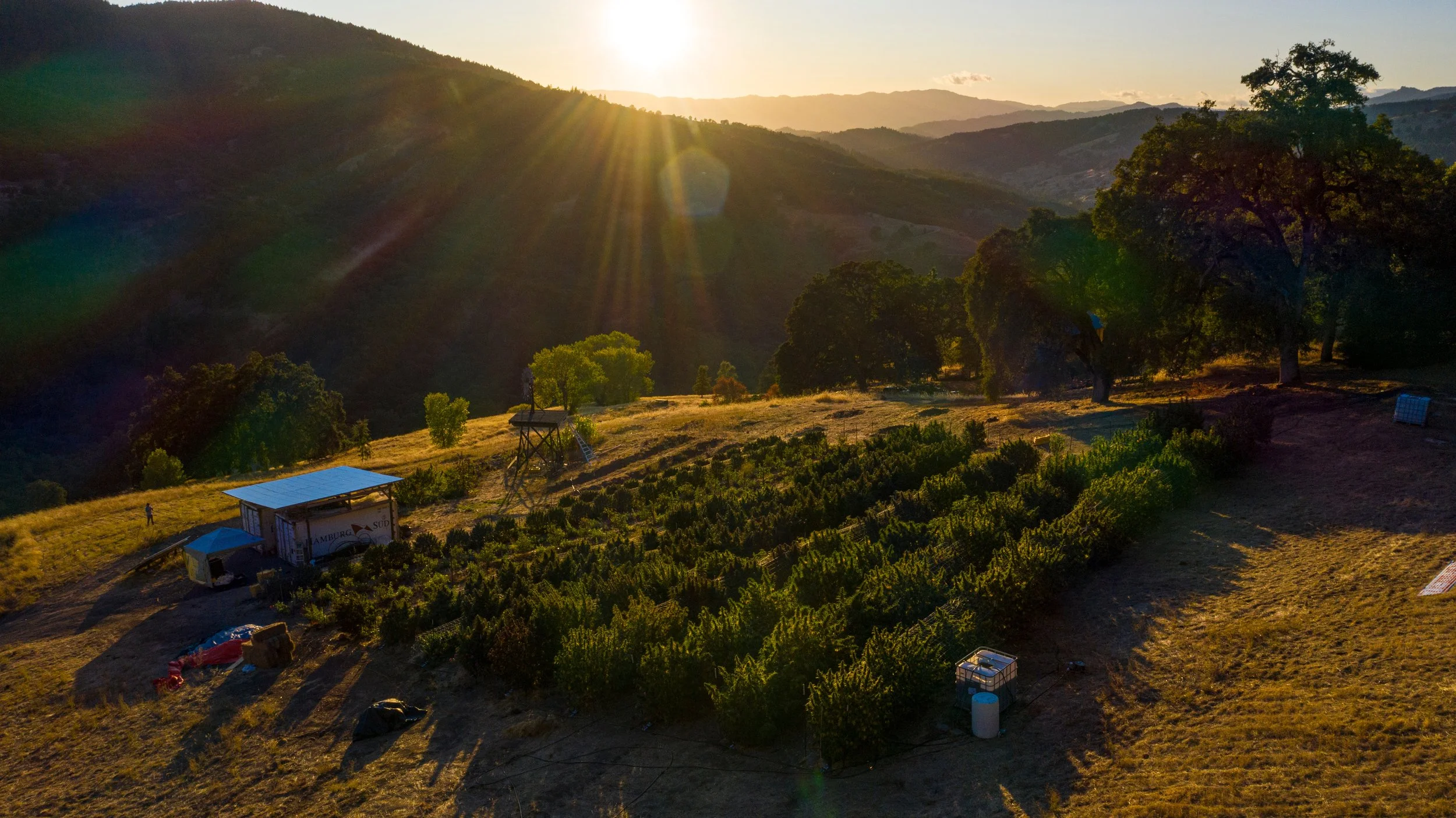 Salm_Wildland_0811.jpg