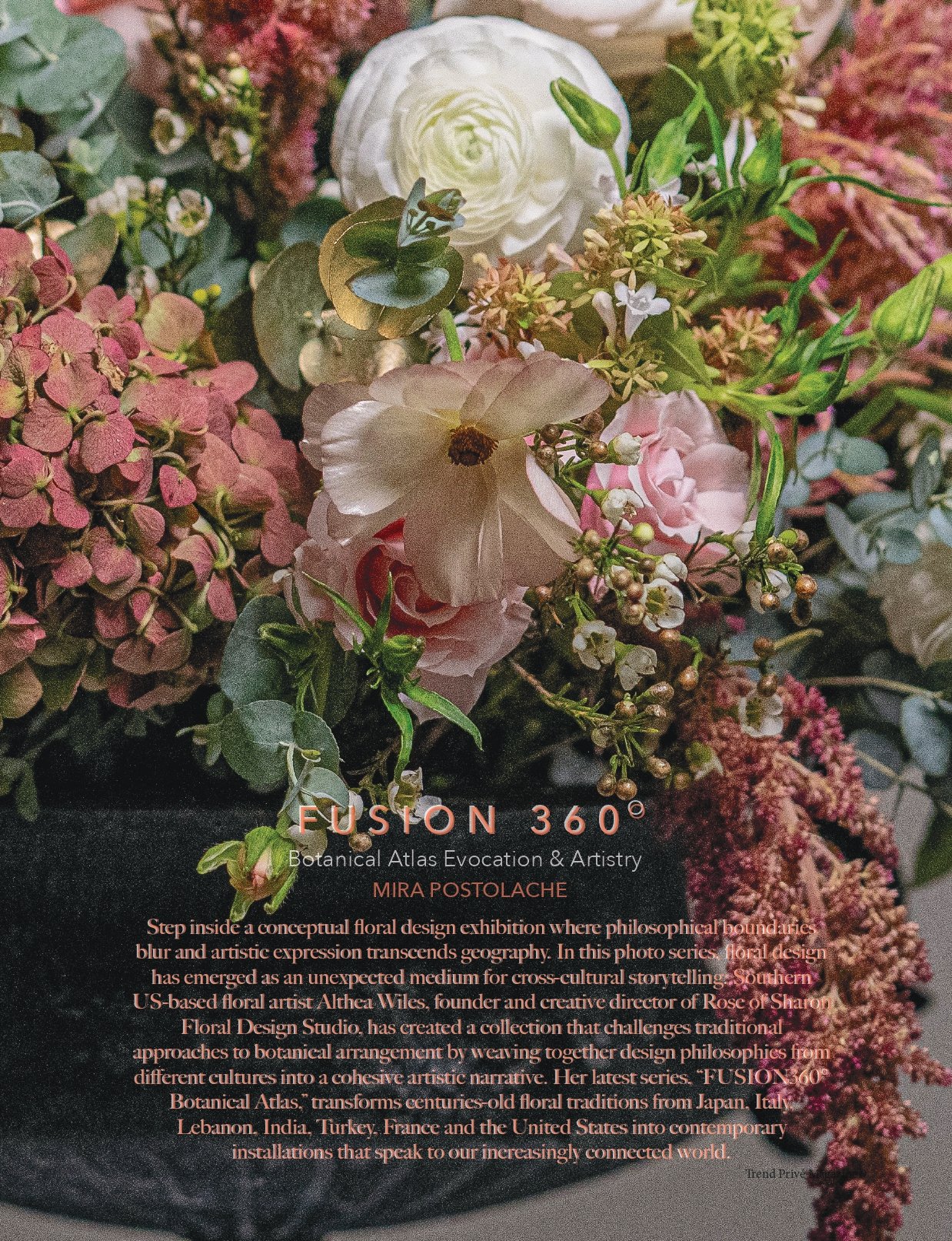 NATURE Issue No 53 Cover option2 tears_09_page-0001.jpg