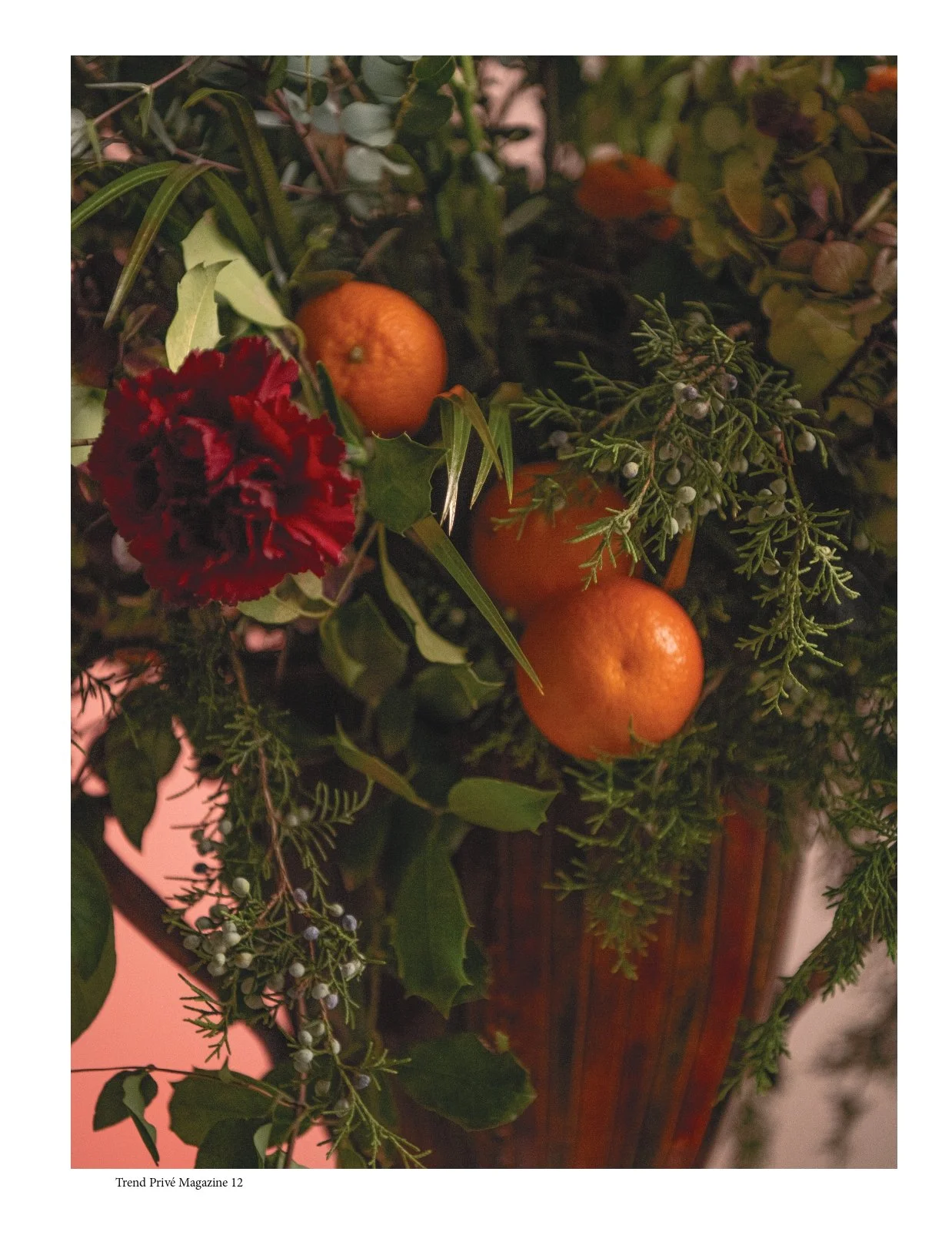 NATURE Issue No 53 Cover option2 tears_12_page-0001.jpg