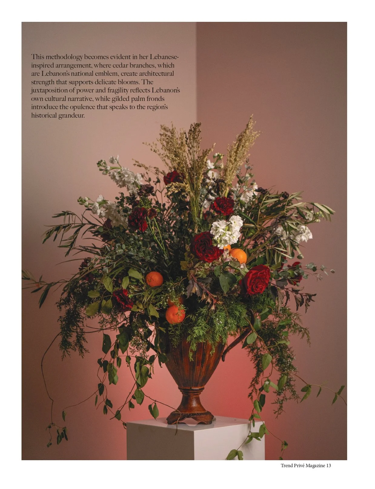 NATURE Issue No 53 Cover option2 tears_13_page-0001.jpg