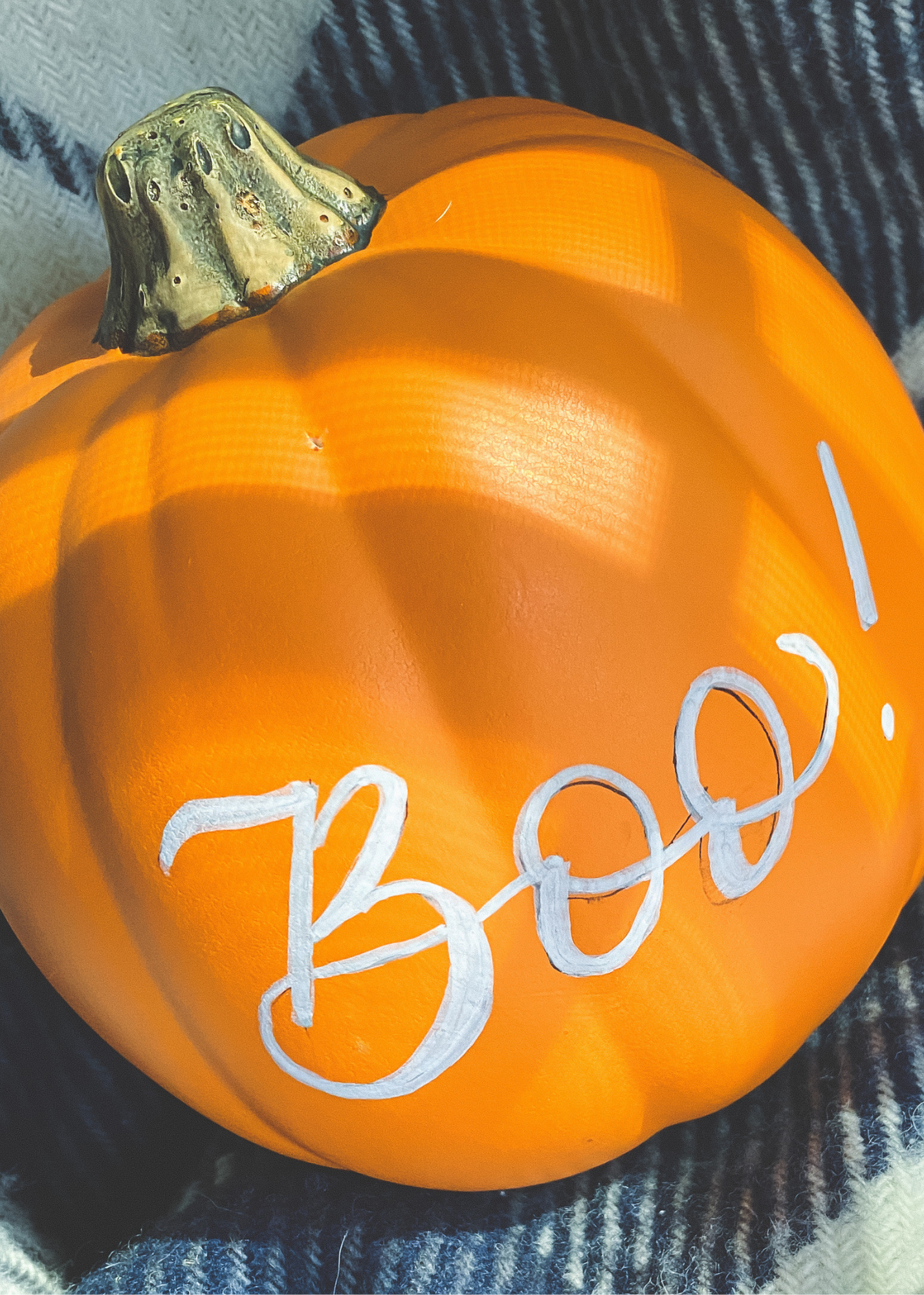 pumpkin close (1).png