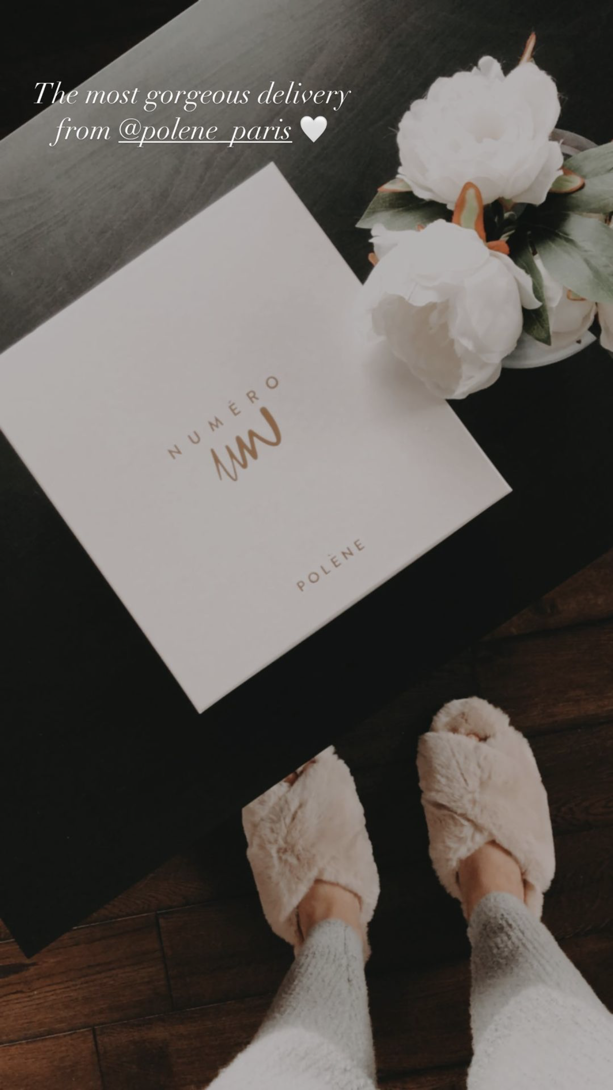 polène story 1.PNG