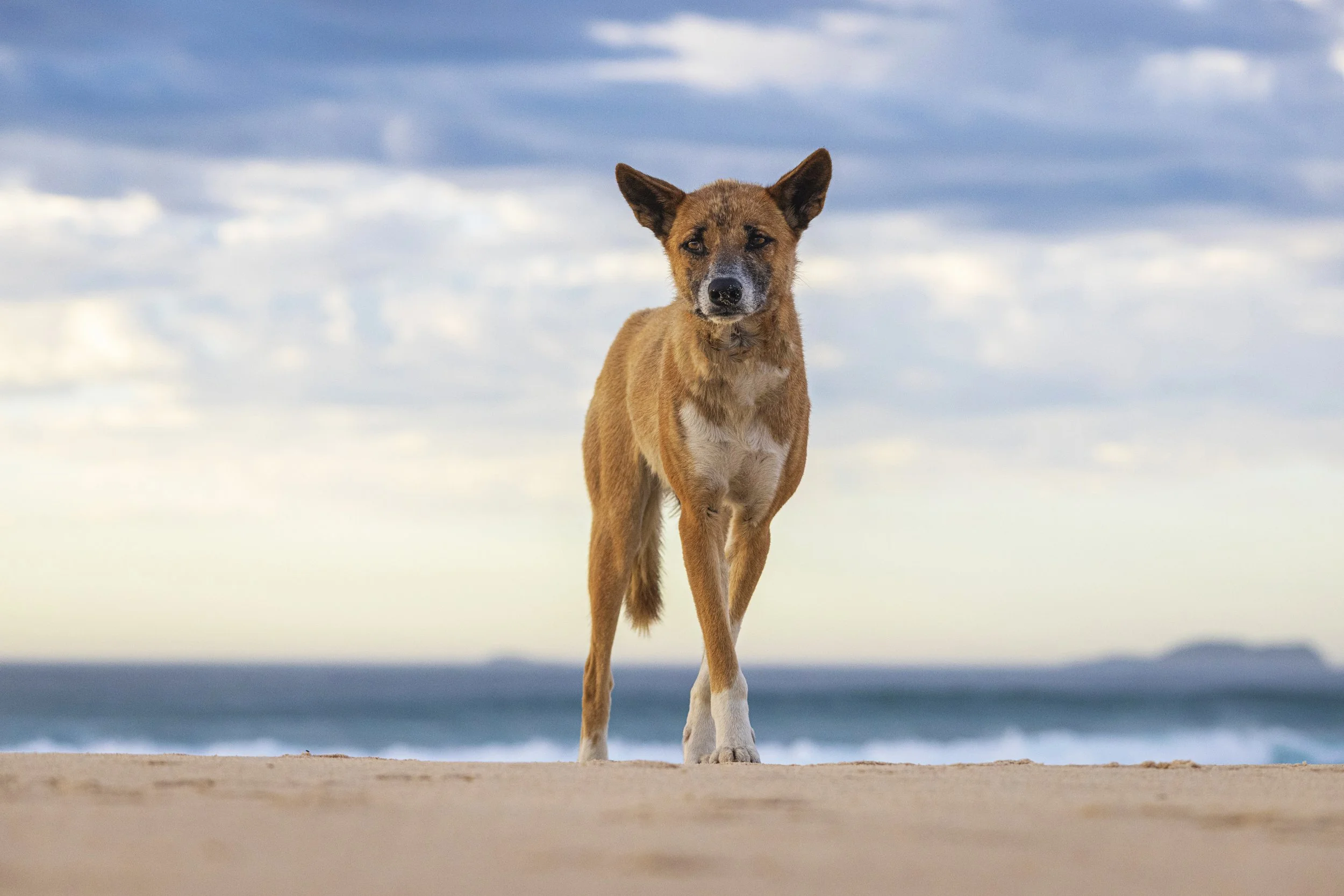 30thBirthday_26_11_20 copy 3.jpg