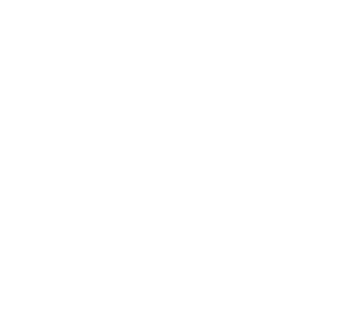 On The Fence