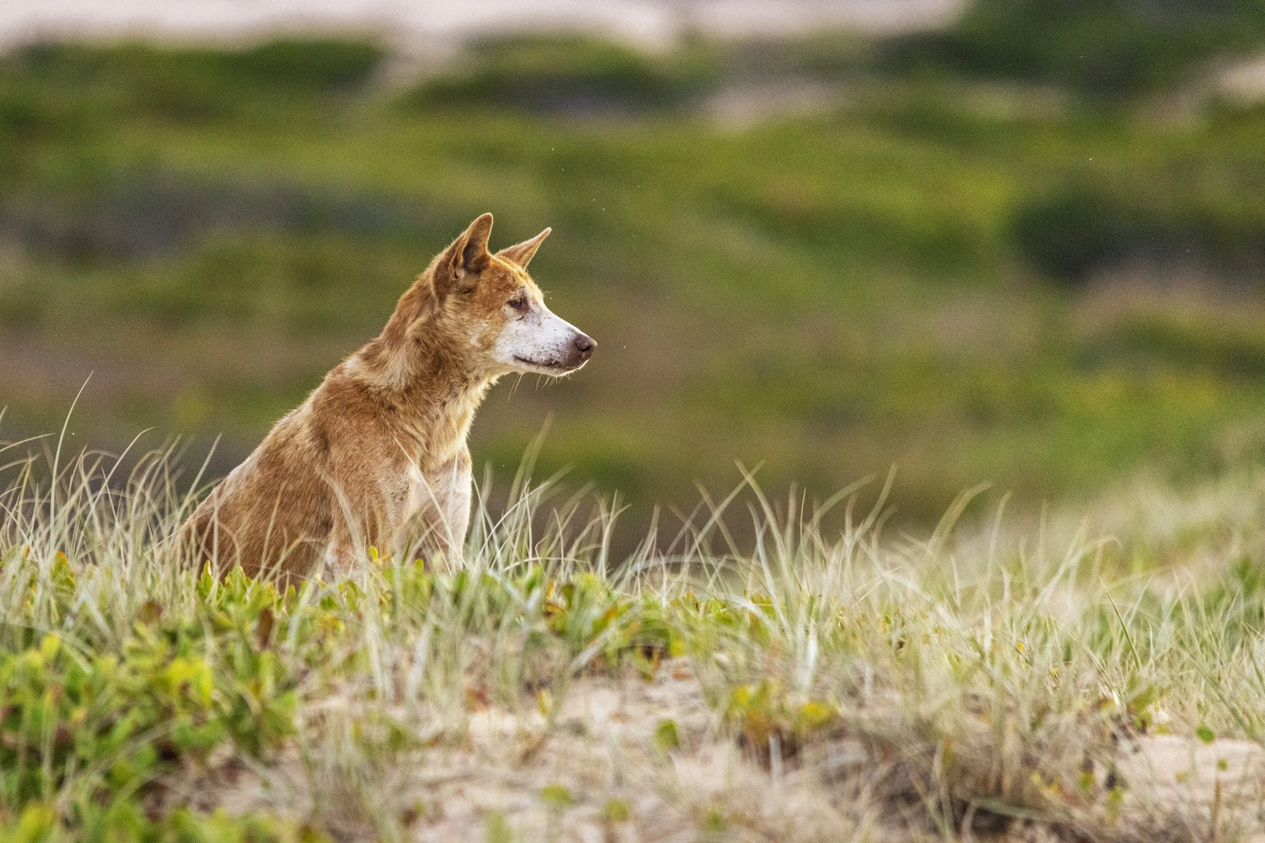 30thBirthday_26_11_25 copy 2.jpg