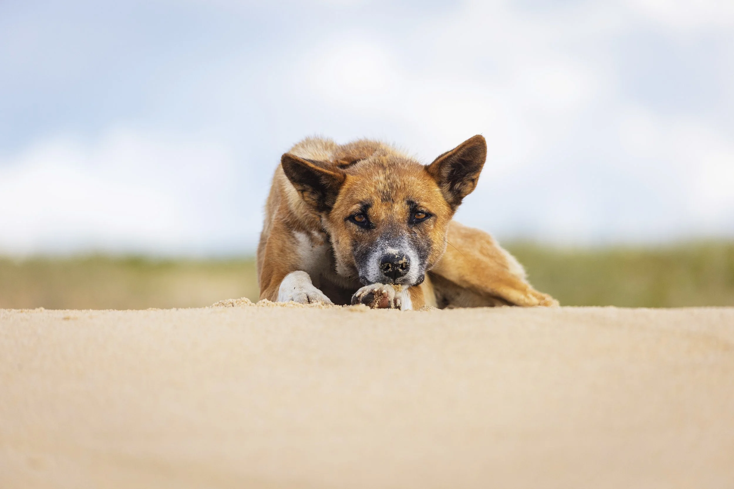 30thBirthday_26_11_52 copy 2.jpg