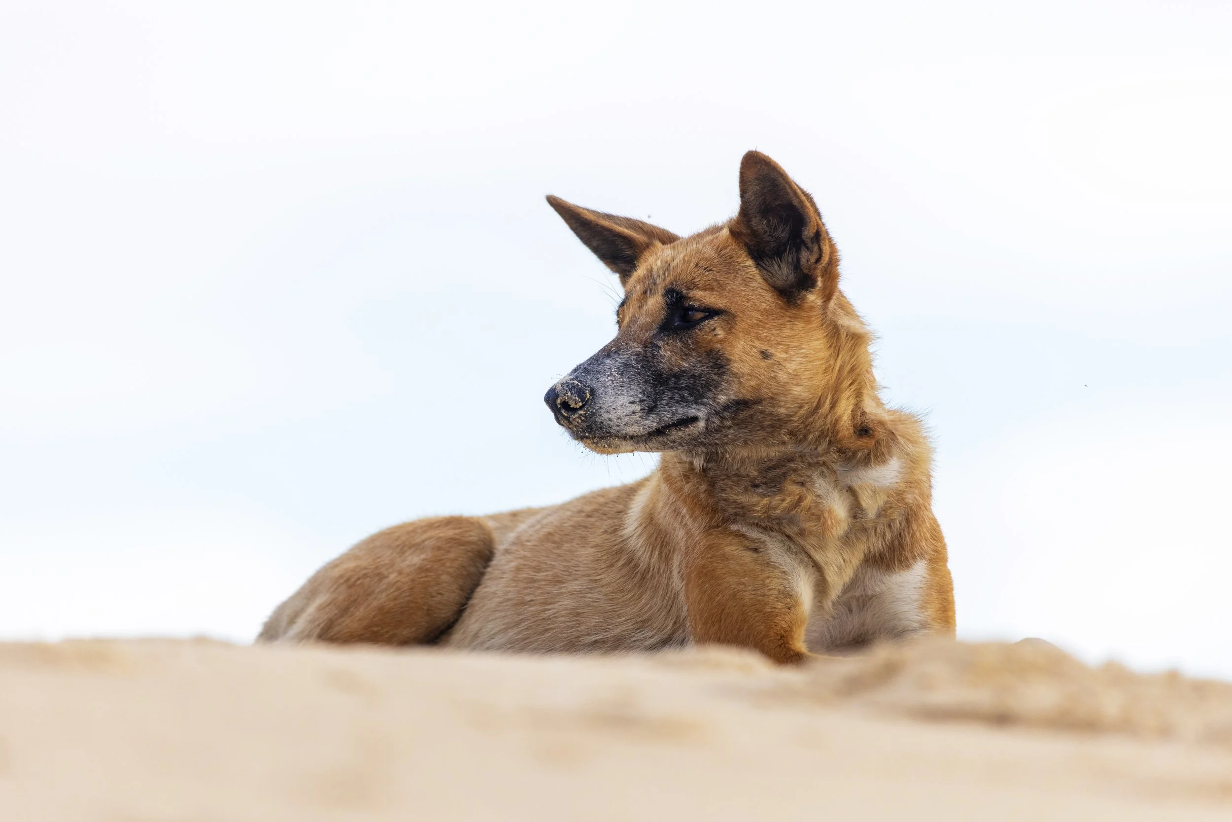 'Horizon Scan' Print