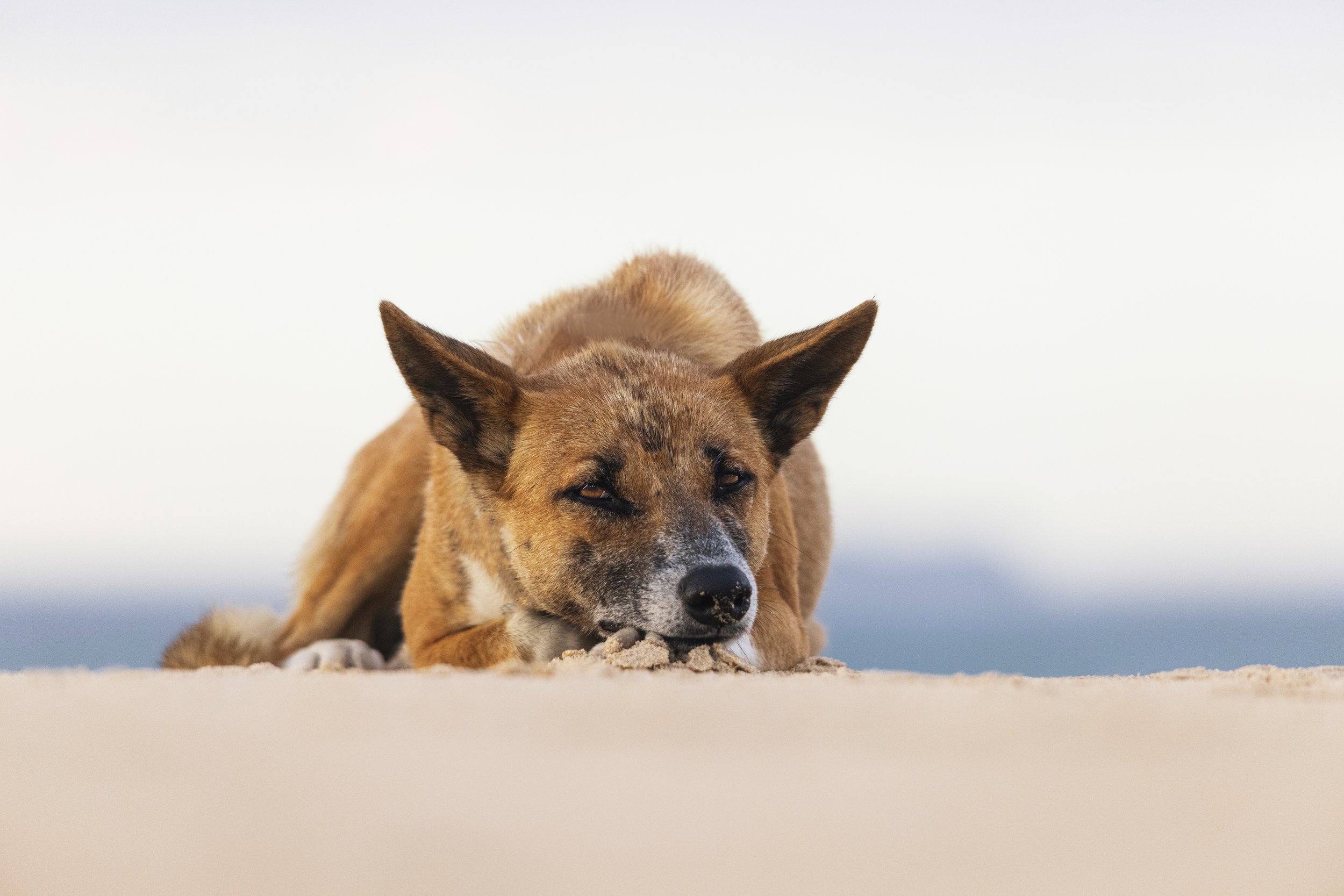 30thBirthday_26_11_23 copy 2.jpg