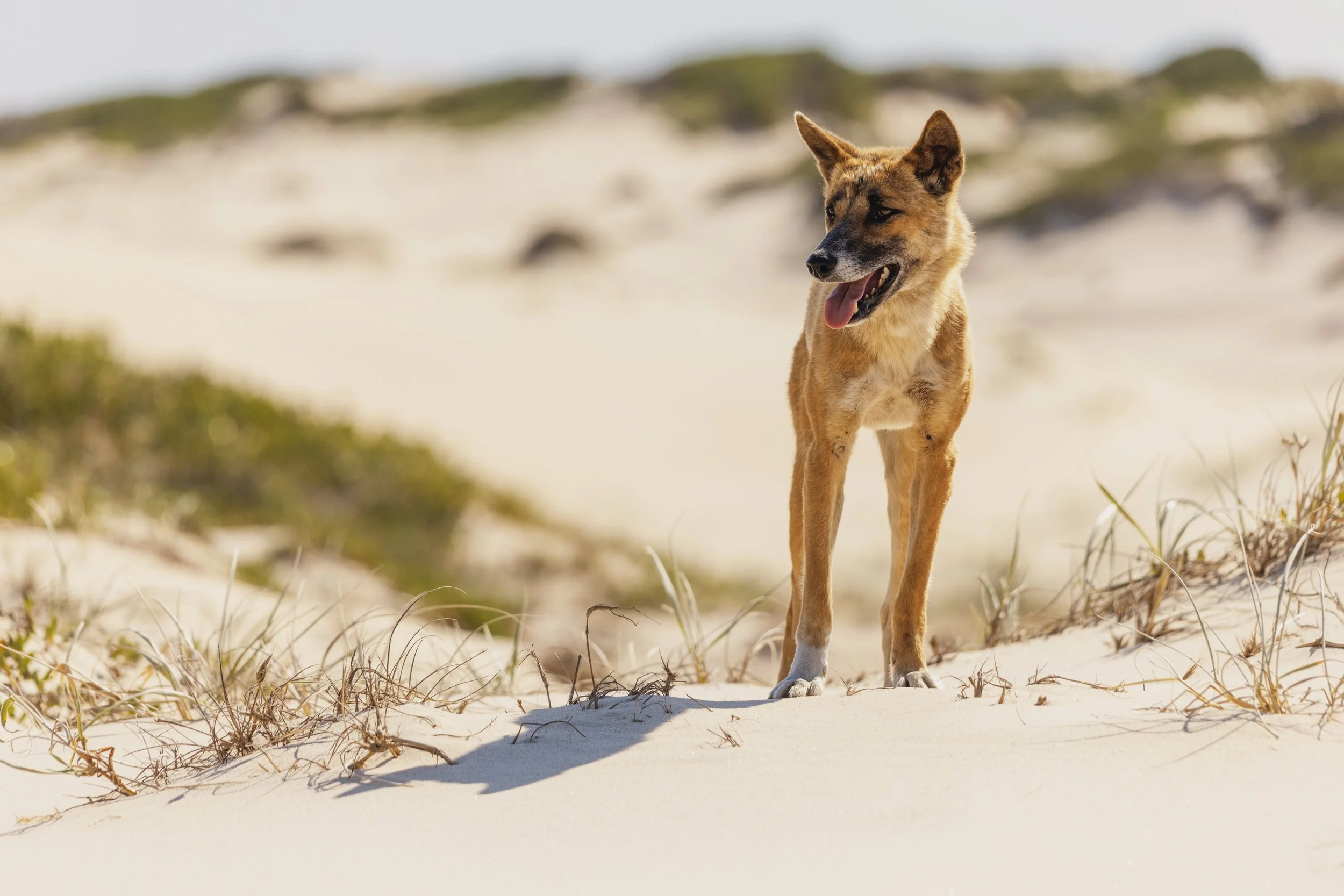 30thBirthday_19 copy 2.jpg