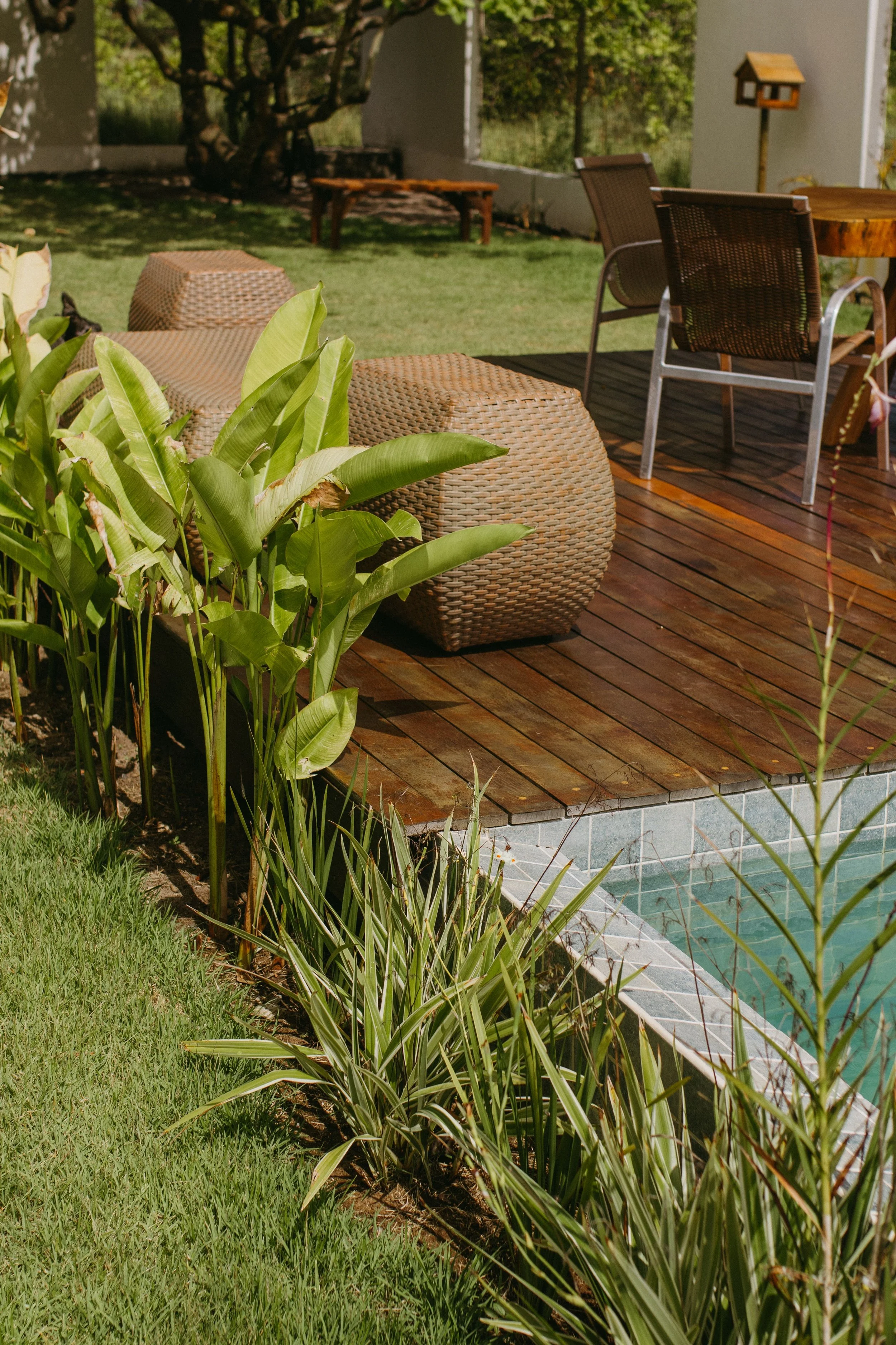 A backyard with patio furniture, greenery, and a swimming pool.