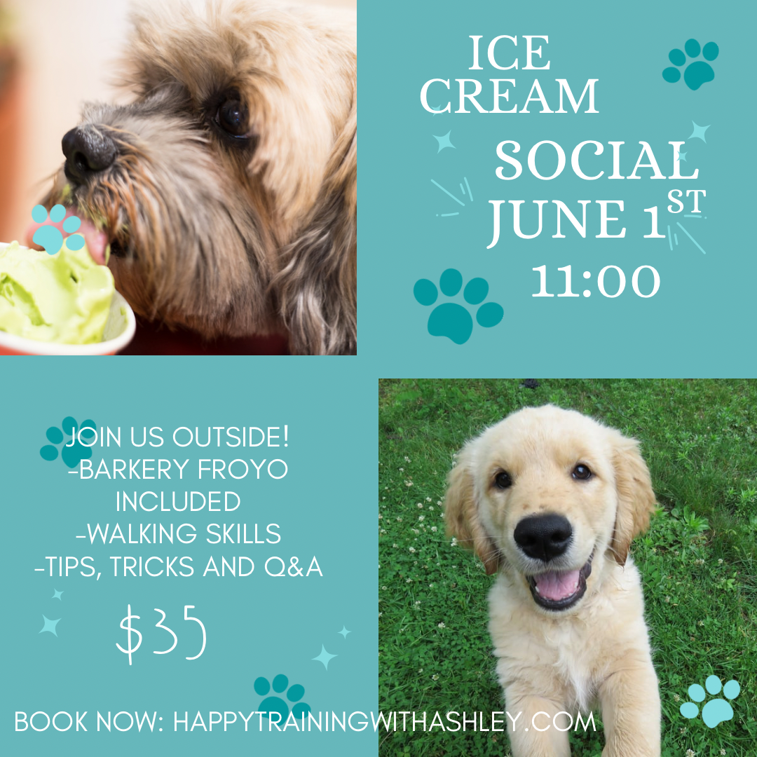 Ice Cream Social