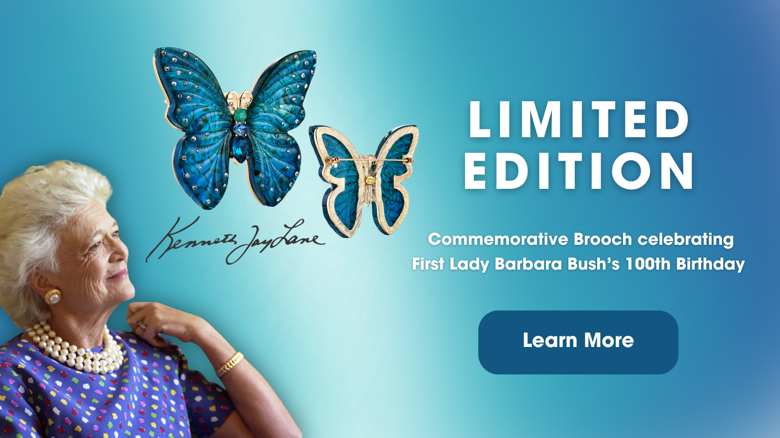 Butterfly Brooch Insert (1600 x 900 px).png