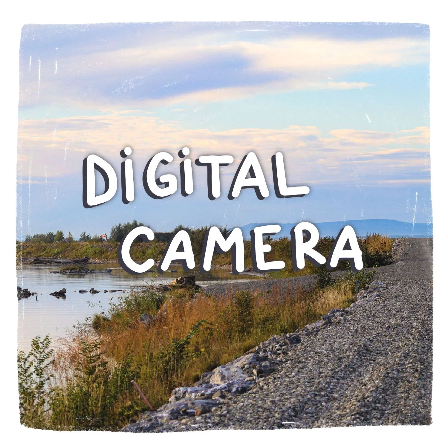 digital camera