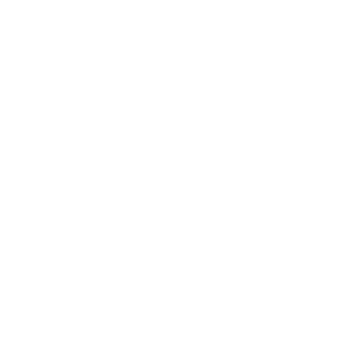 Ignite Festival