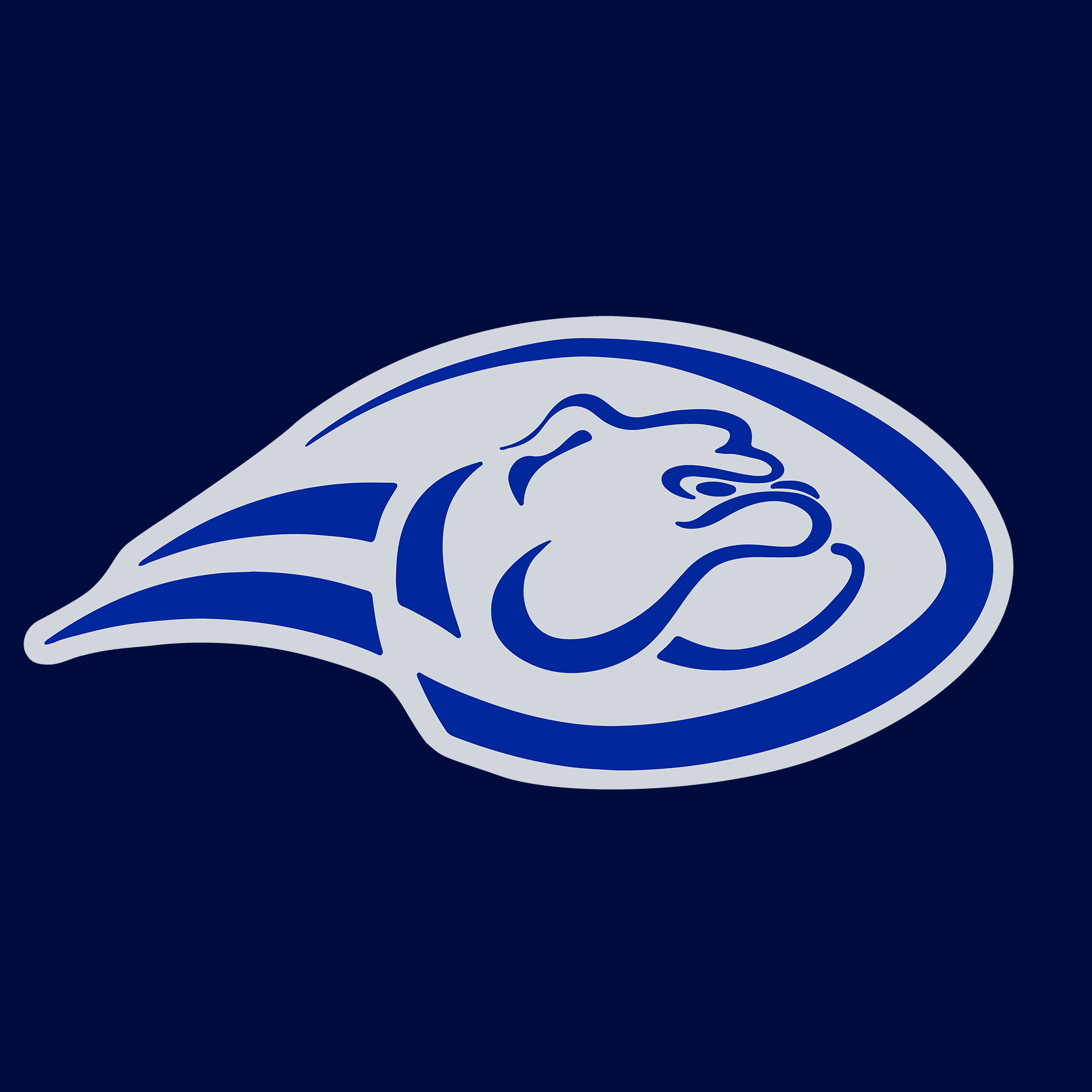 Wilddogs_Patch Quadrat.png