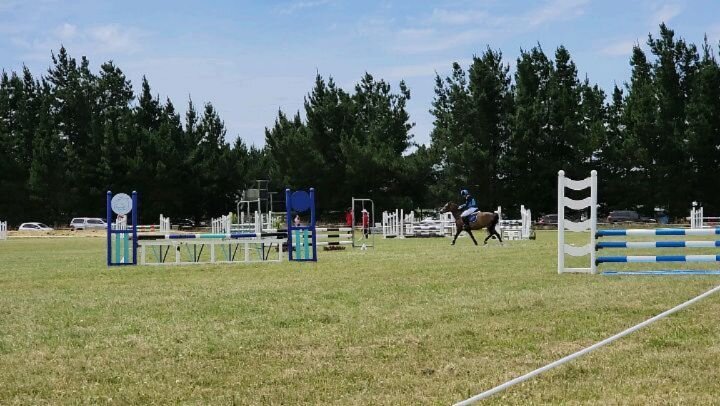 A little glimpse of some of the  action at South Island Show Jump Champs today. 
Jemma on Timmy (View Hill)
Danielle of Nigel (View Hill)
Jazmin on Eve (draft riding for Motueka who are currently sitting 6th!)