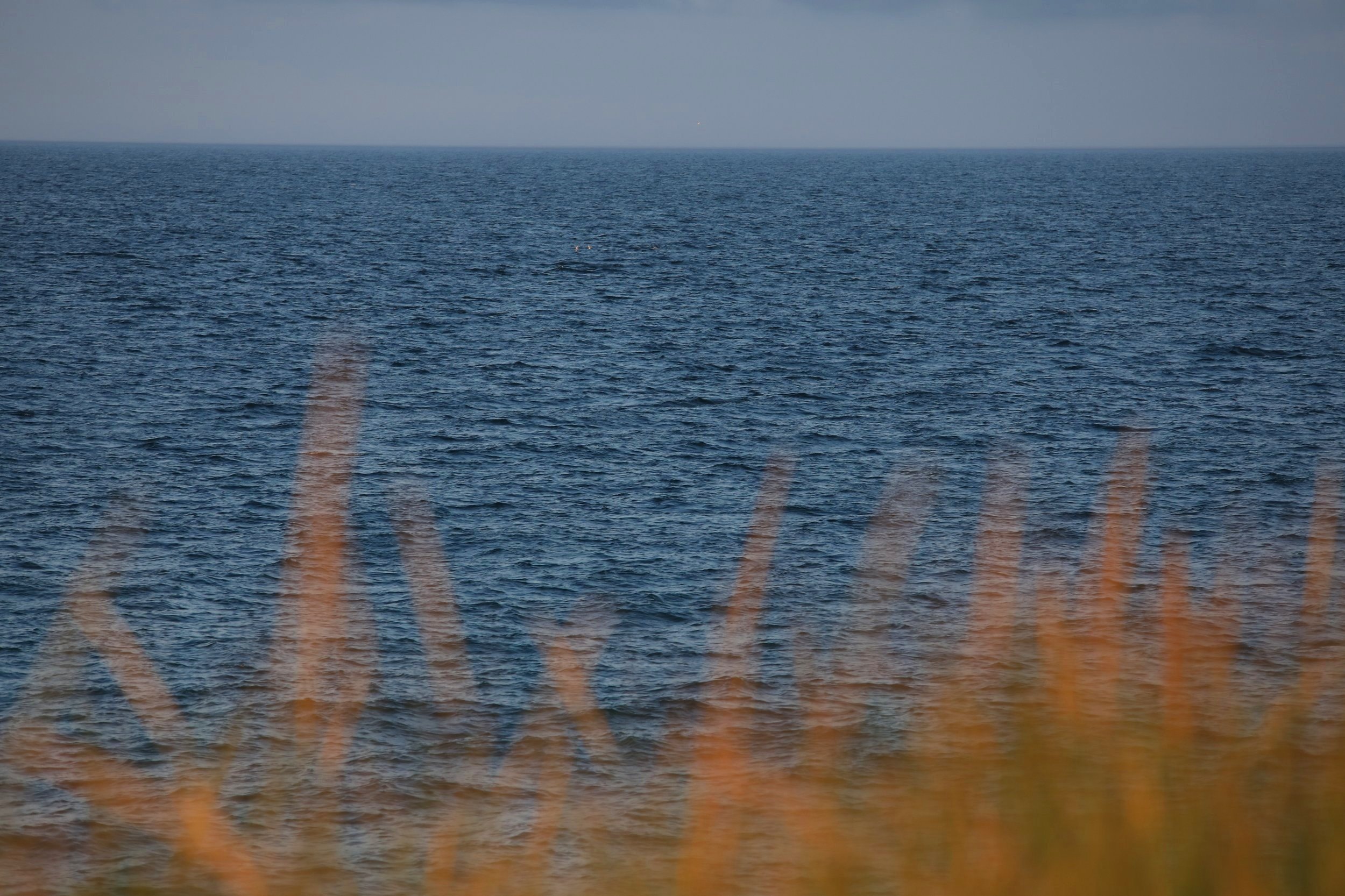 Dunes+and+ocean+2.jpg