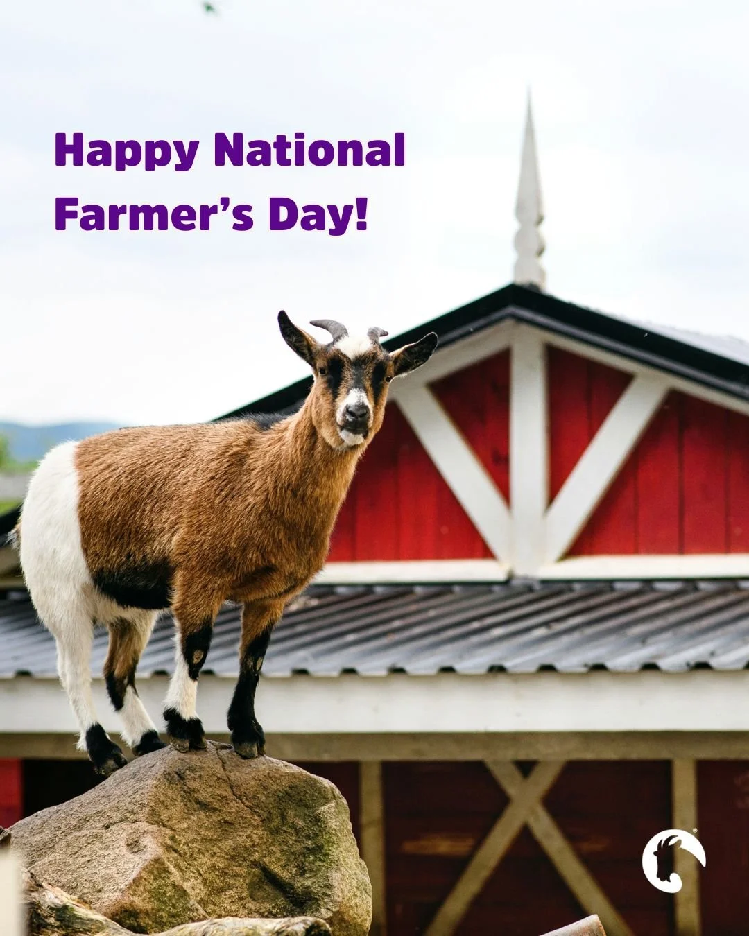 From family farms to your fridge, today we&rsquo;re celebrating the farmers who make every Meyenberg product possible. Happy National Farmers Day to the hands that keep it real, fresh, and goat-good.

#NationalFarmersDay #Meyenberg #GoatMilk