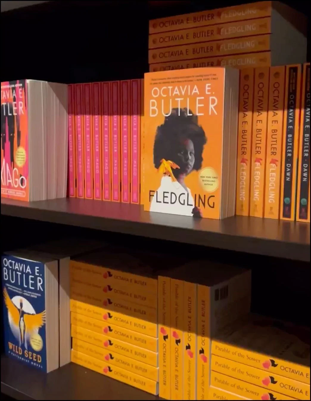 Octavia's Bookshelf