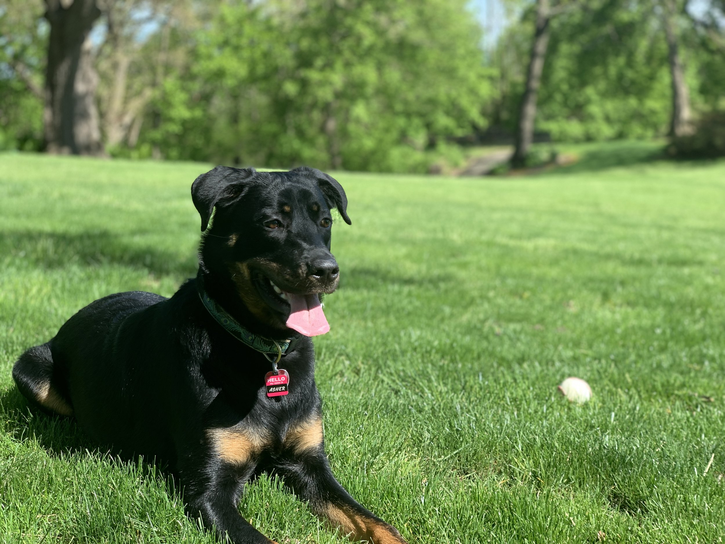 61127058053__E3D0F2EB-0F74-447E-B6B4-266271793409.fullsizerender 2.JPG