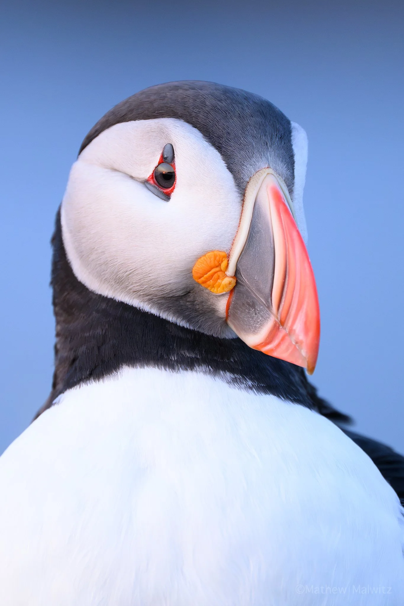 DSC_9077-Edit-Edit copy.jpg