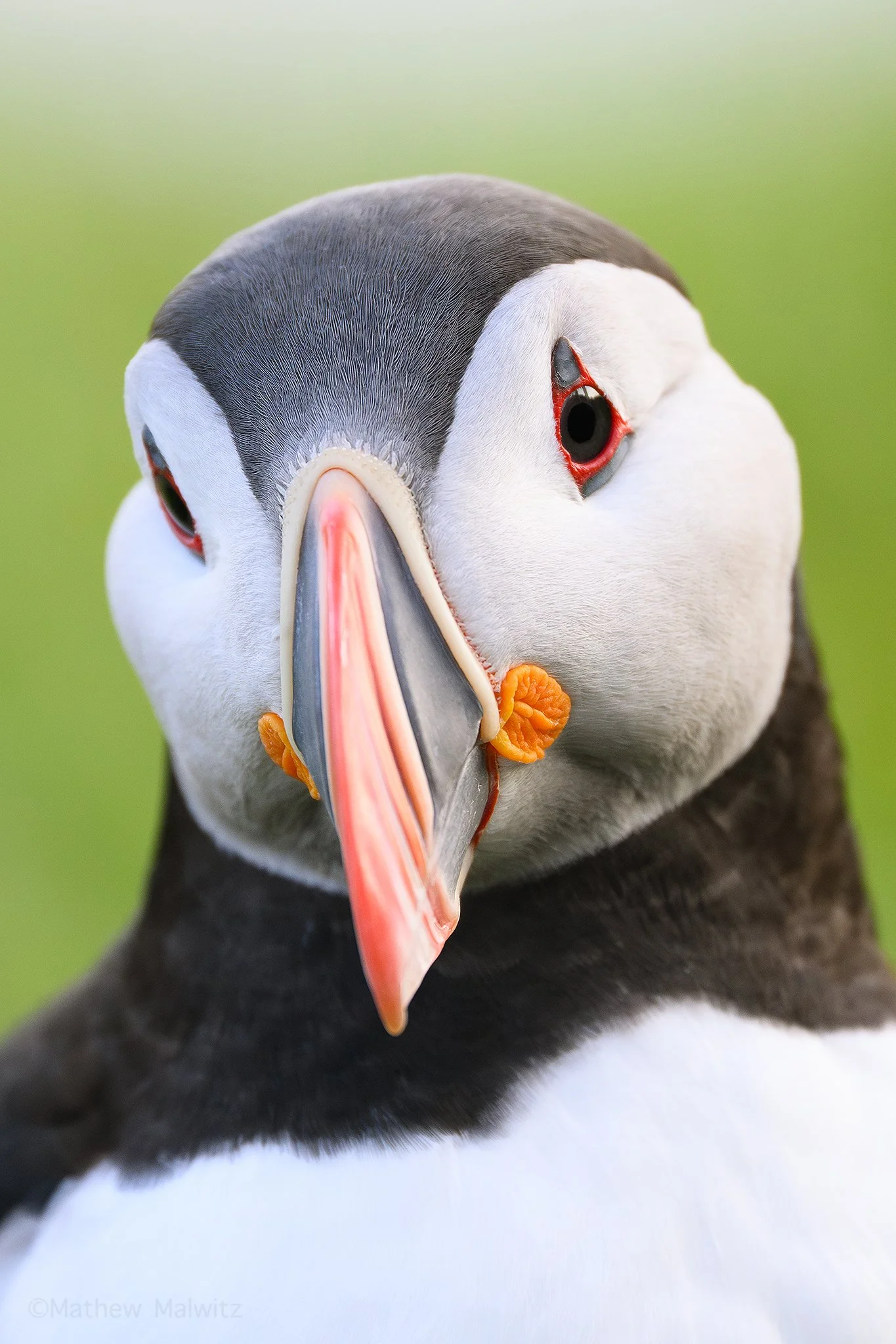 DSC_7719-Enhanced-NR-Edit copy.jpg