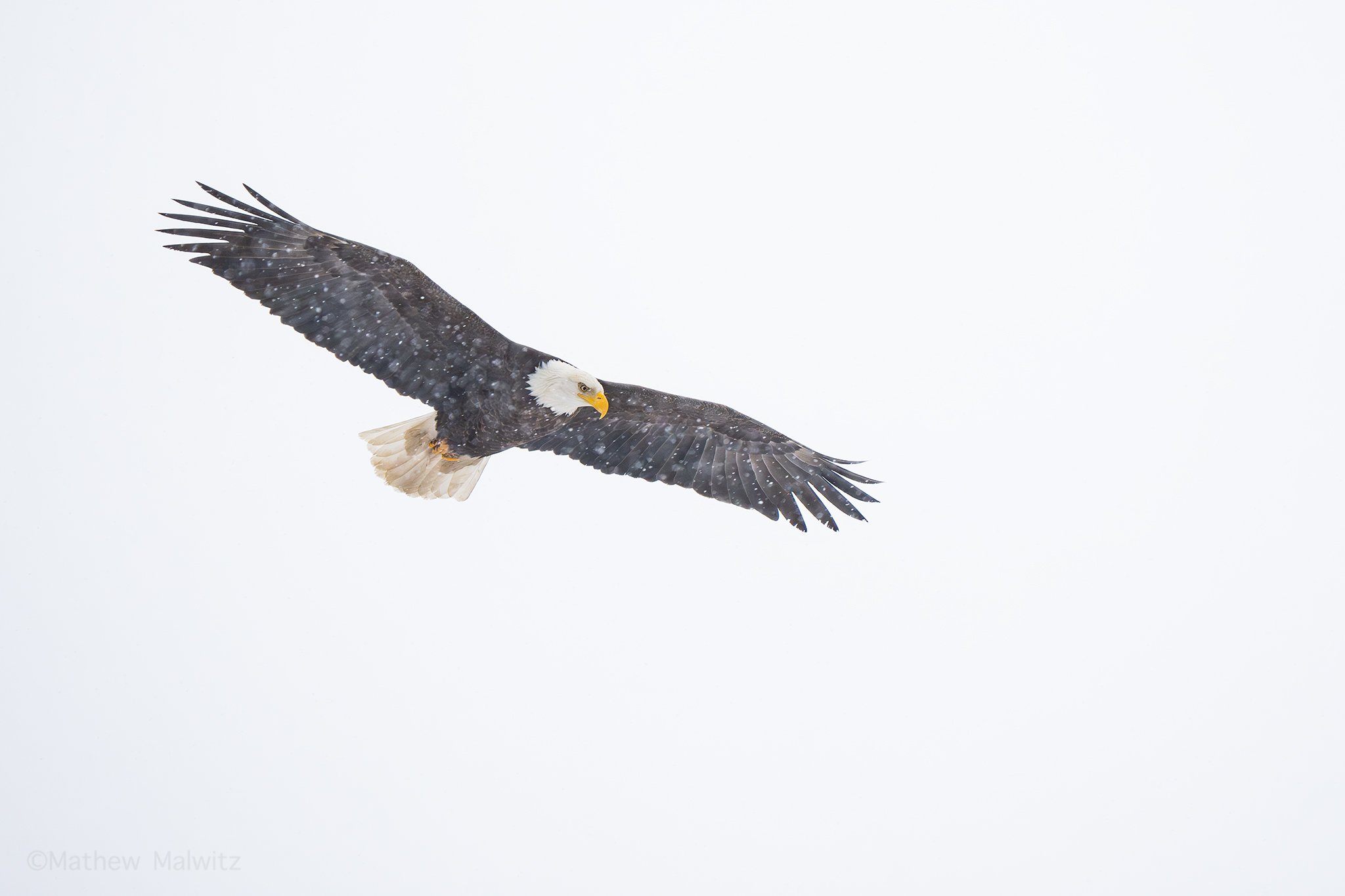 DSC03067-Edit copy.jpg