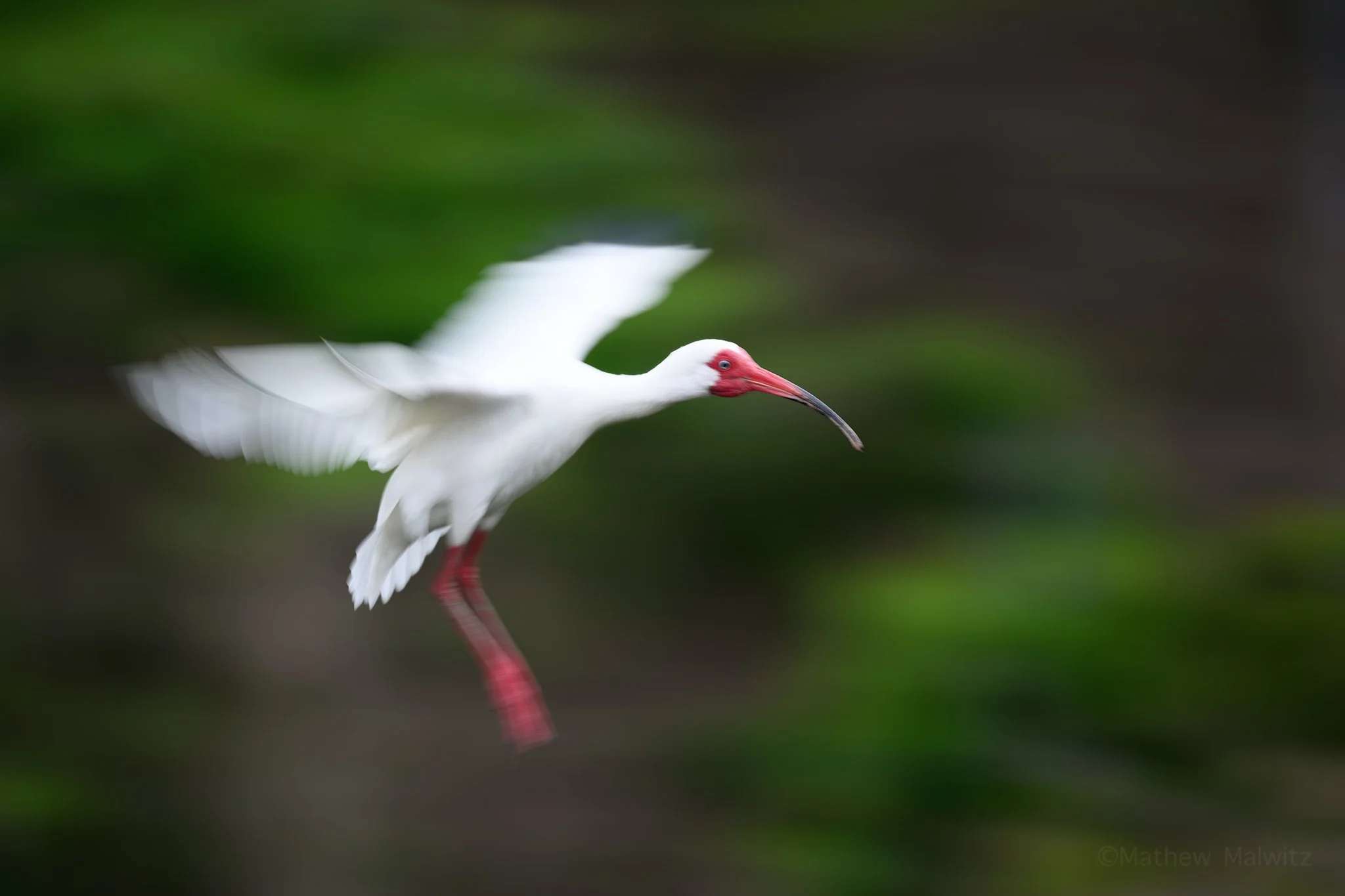 DSC_0502-Enhanced-NR-Edit copy.jpg