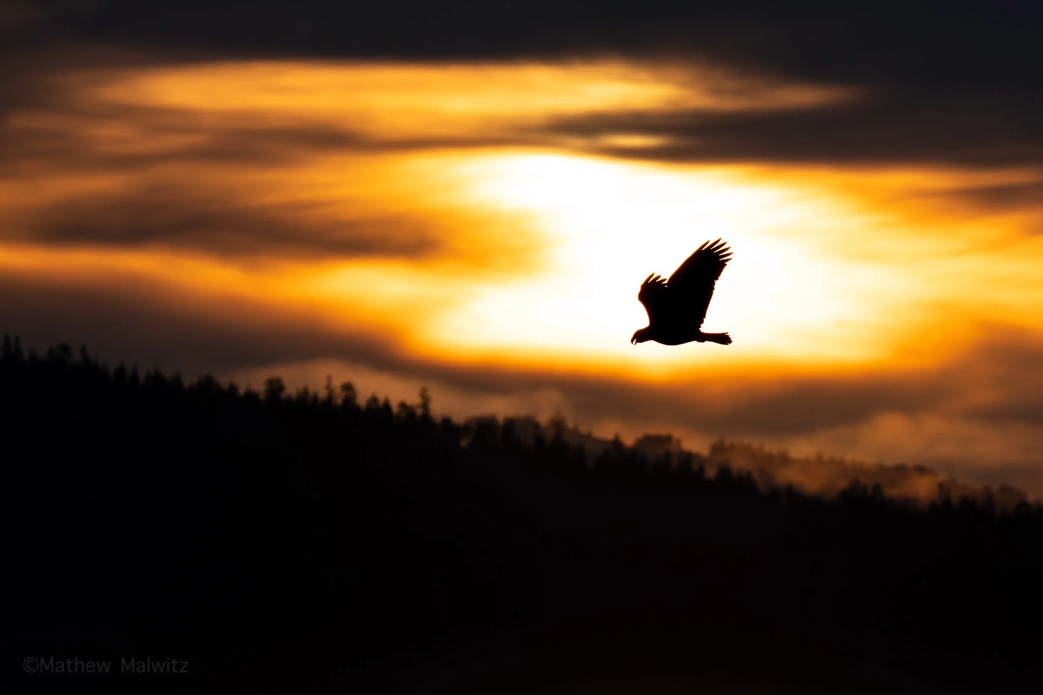 DSC06978-Edit copy.jpg