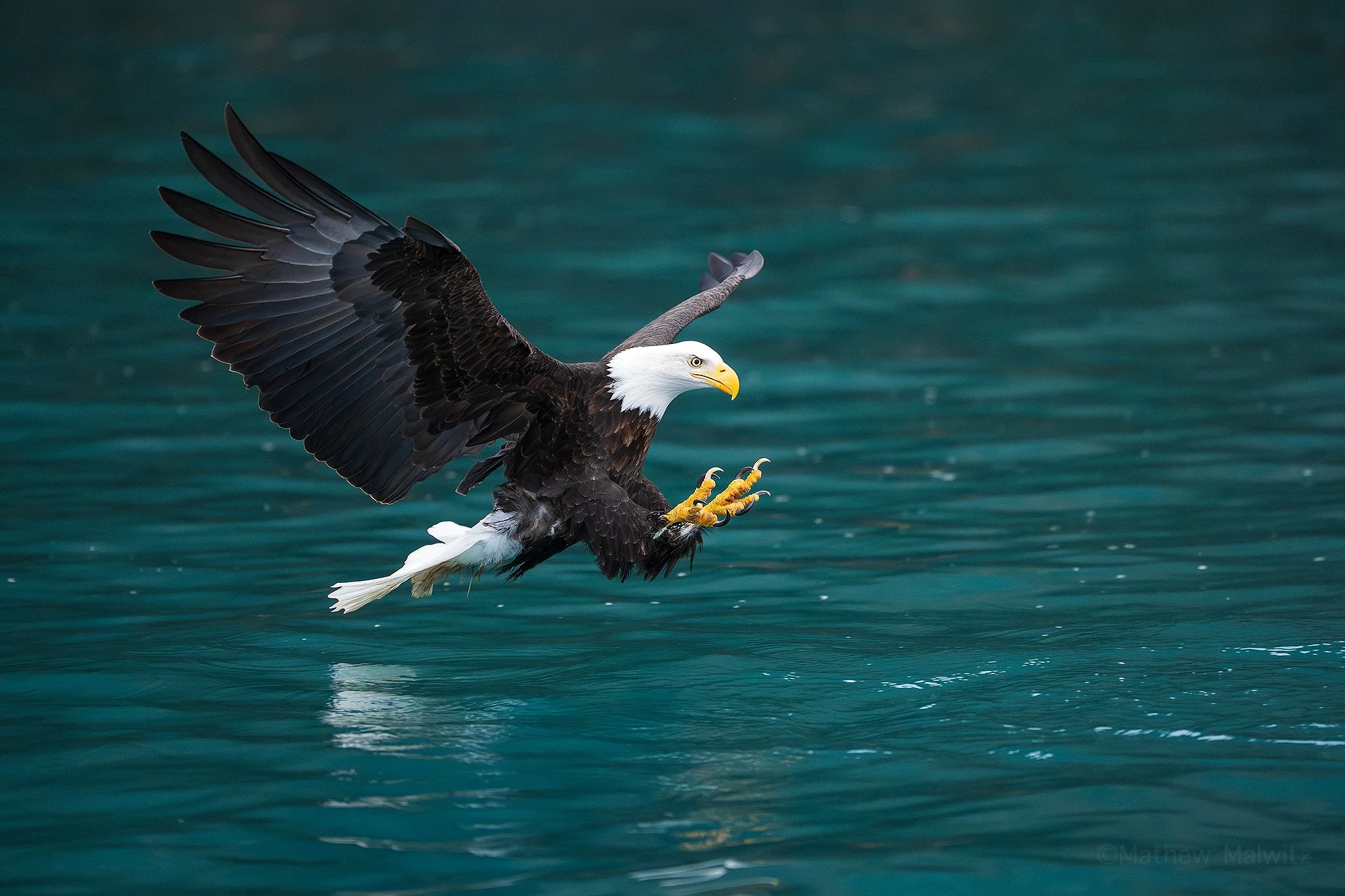 DSC04868-Edit copy.jpg