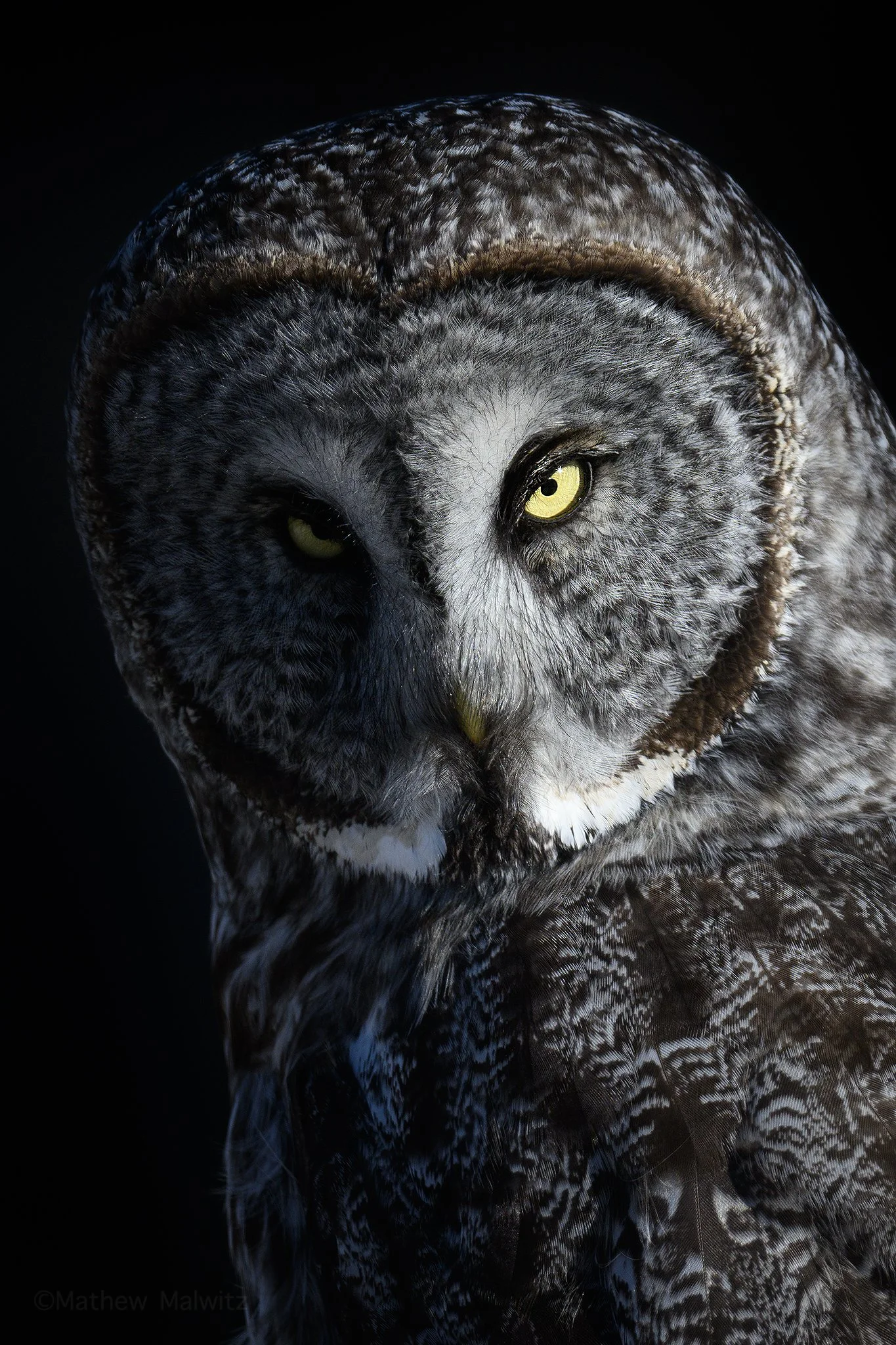 DSC_4871-Enhanced-SR-Edit copy.jpg