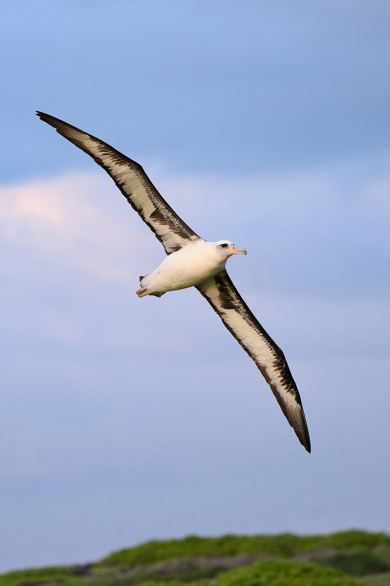 DSC_2063-Enhanced-NR-Edit copy.jpg