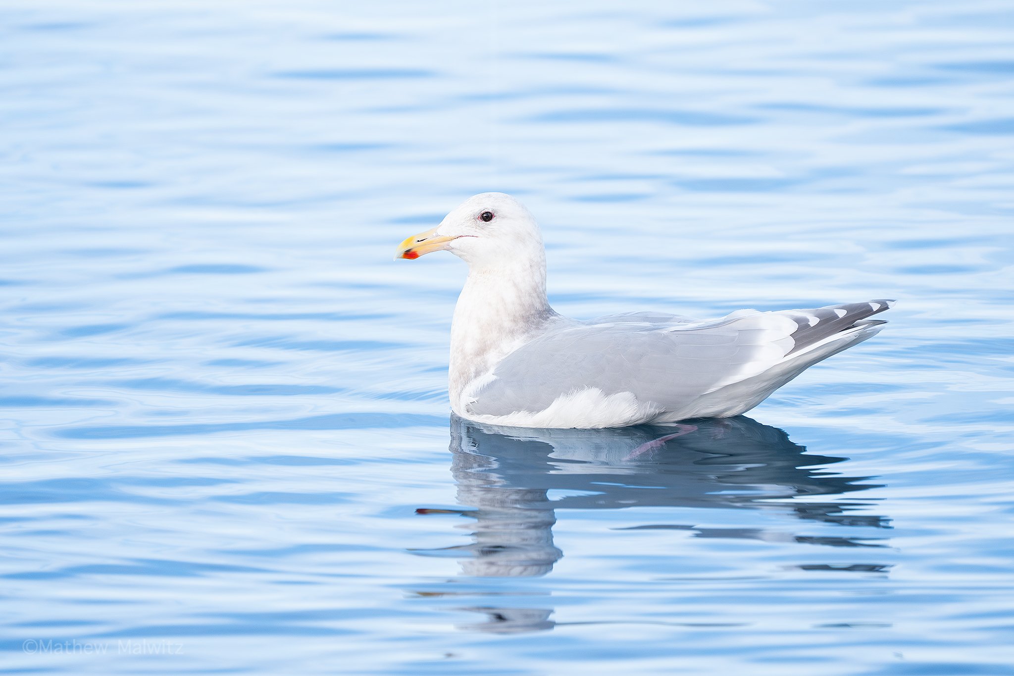 DSC01554-Edit-Edit copy.jpg